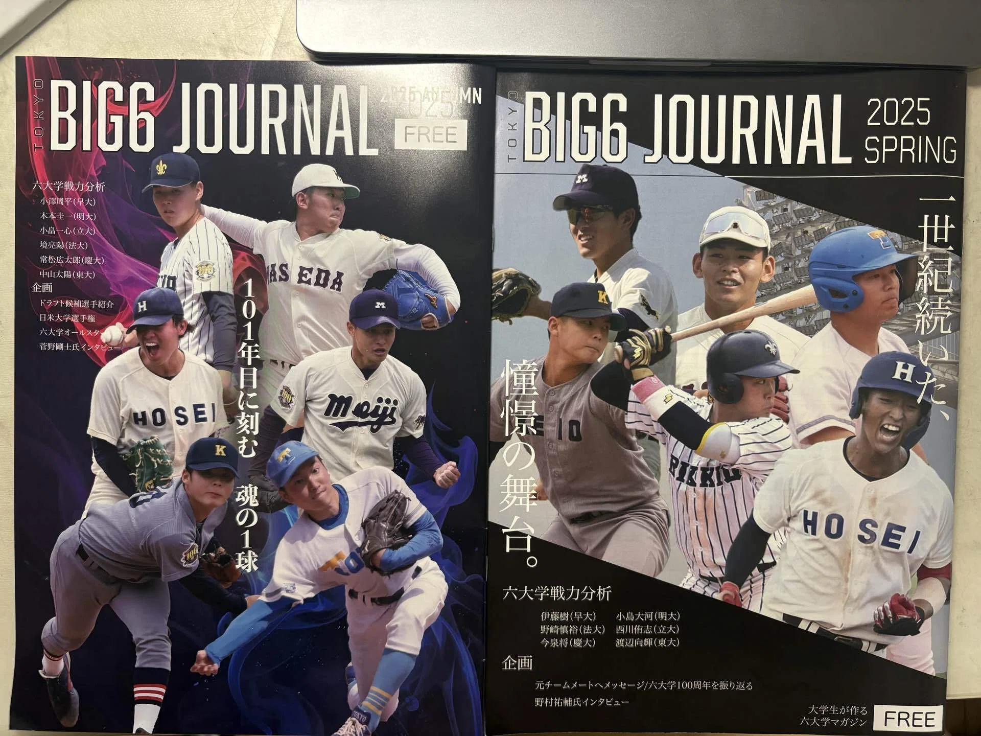 東京六大学野球〜観戦虎の巻〜｜深空(みそら).