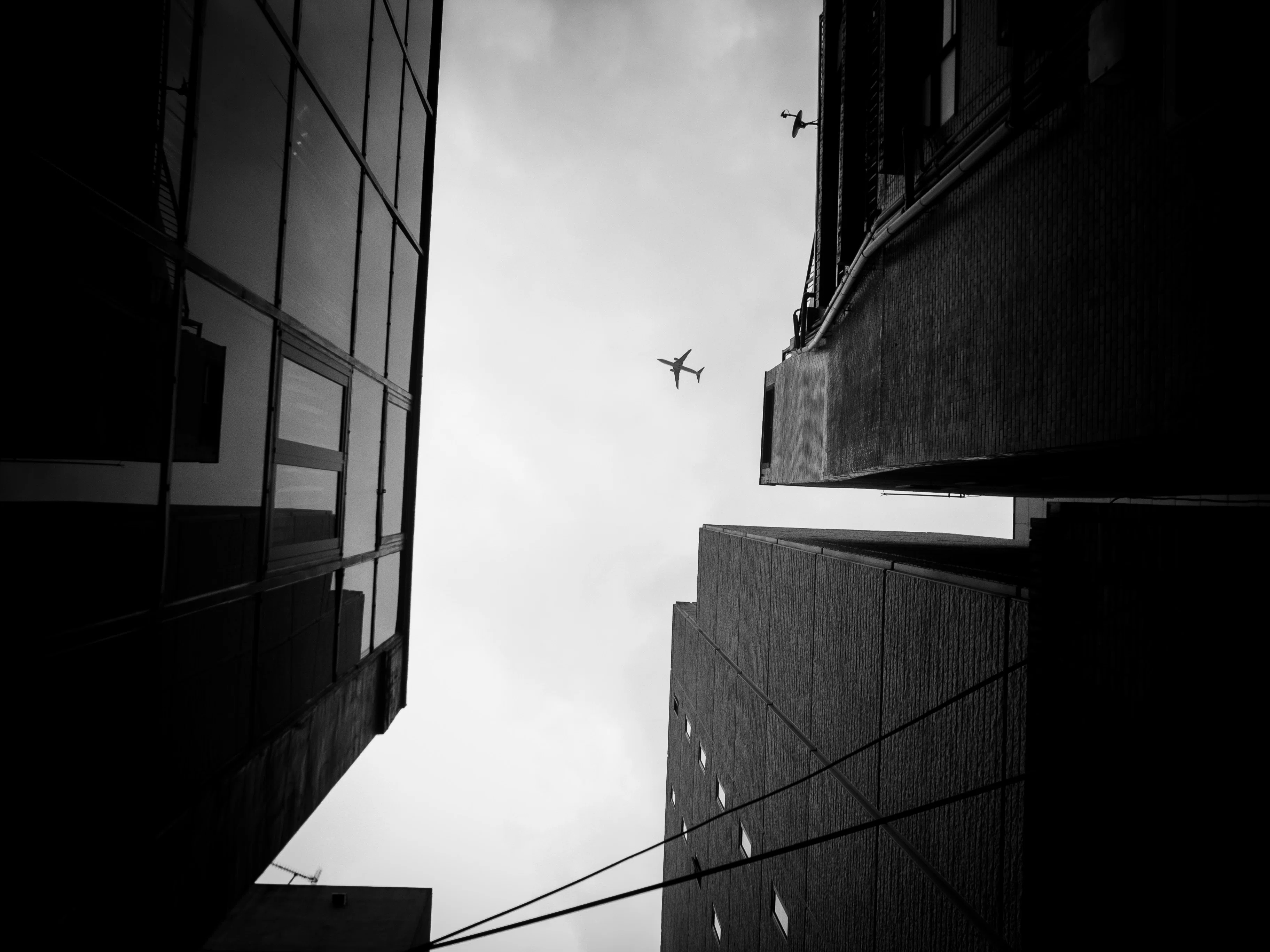 2026年の東京に、2007年の光を重ねる｜RICOH GR DIGITAL IIとCCDの残像