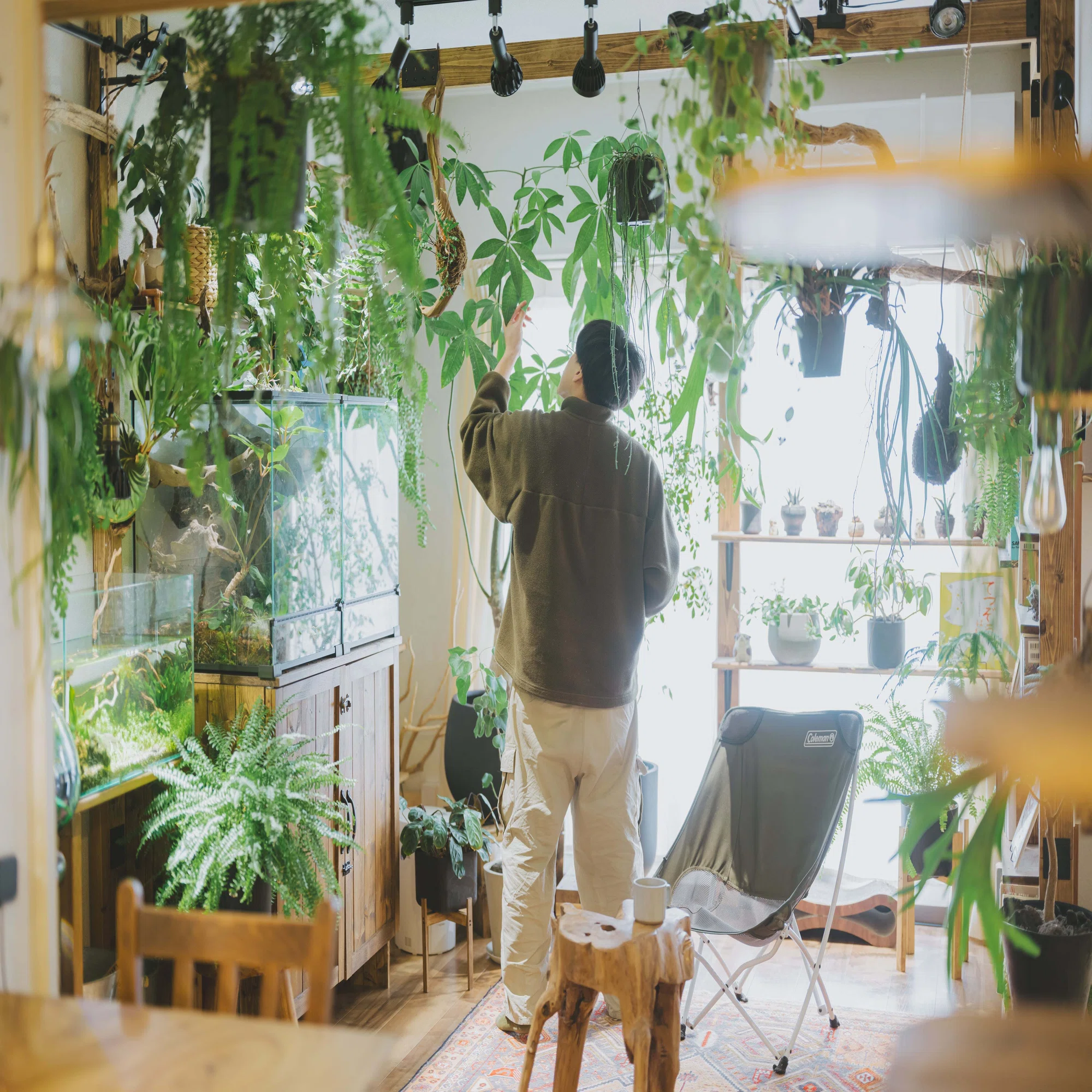 直線的な部屋に「有機的な曲線」を。生き物と一点ものが馴染む部屋 