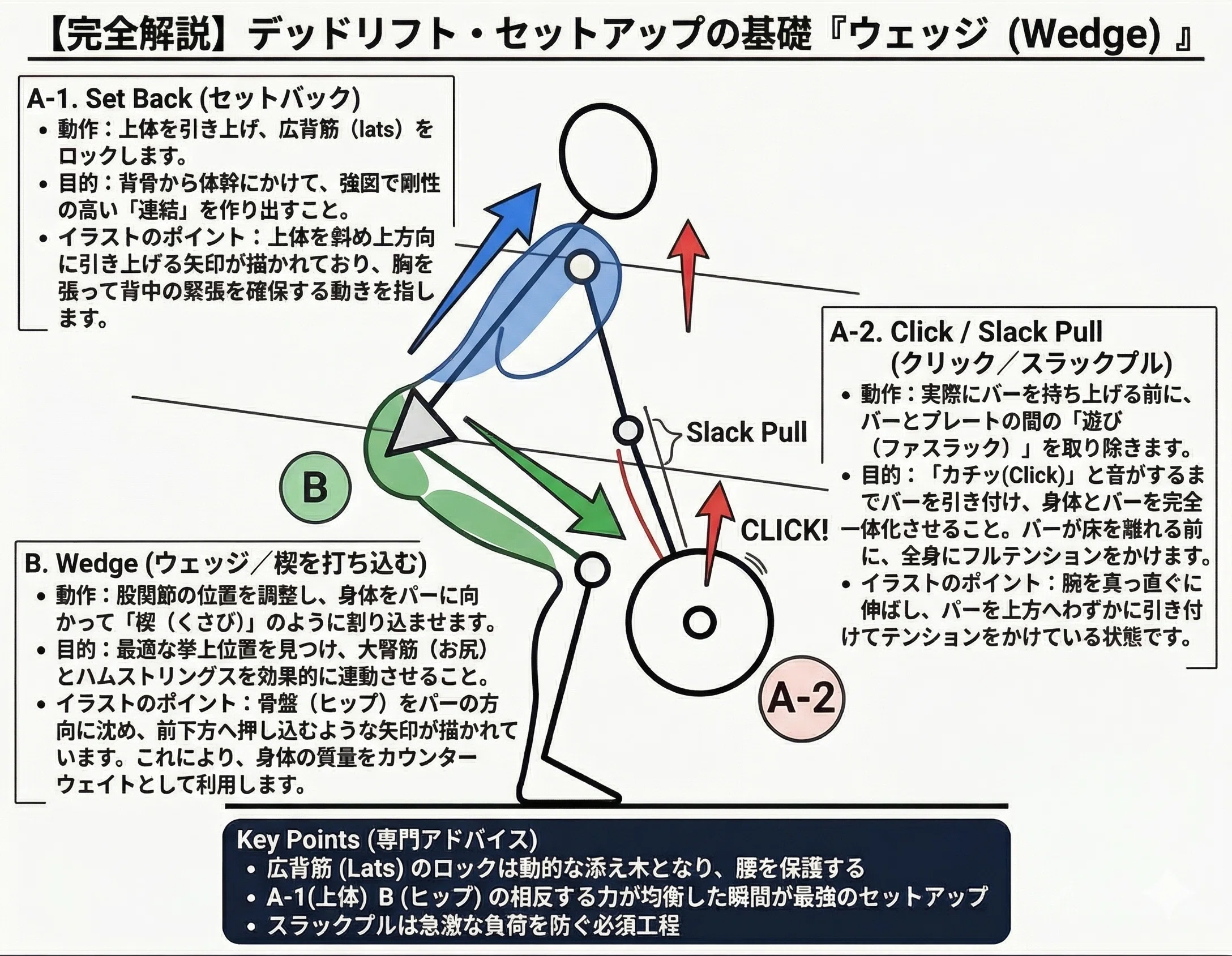デッドリフトの基礎】「Set Back・Slack Pull・Wedge」が重いバーベル