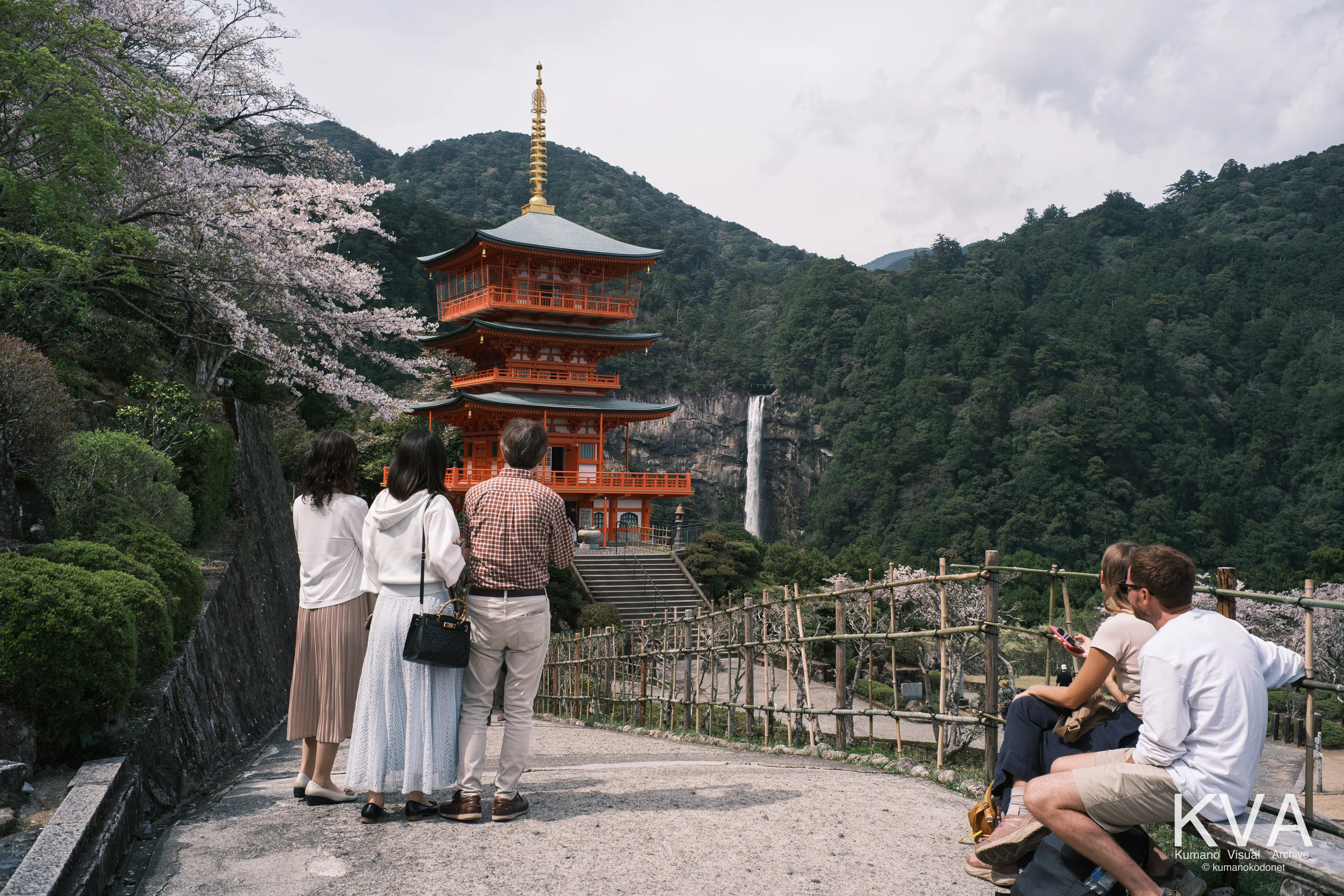那智山の桜。 | 熊野那智大社・青岸渡寺・那智の滝 2026年4月6日｜KVA