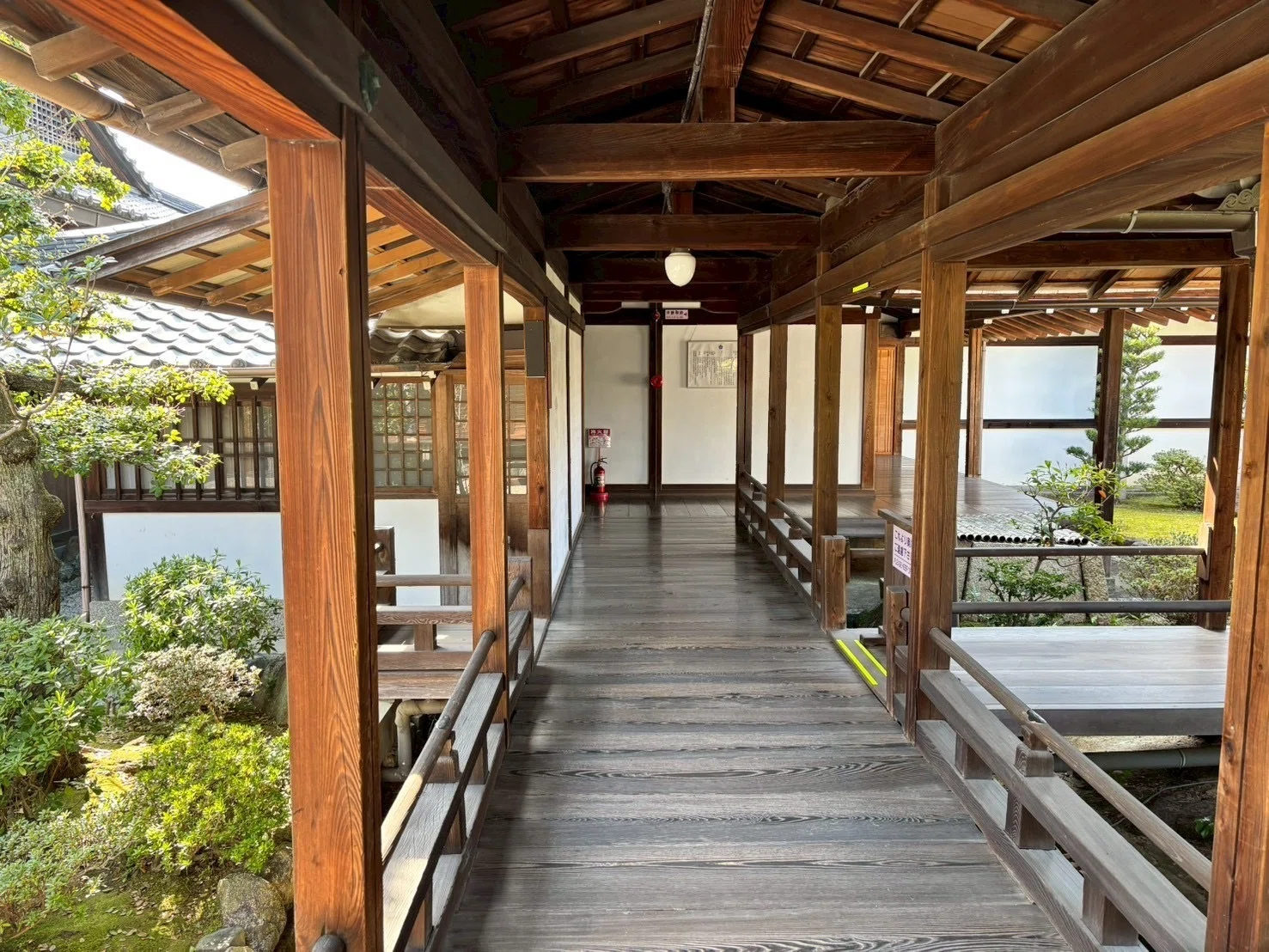 京都旅行】智積院 長谷川等伯の障壁画を鑑賞｜Miku (本と旅が好きな絵描き)