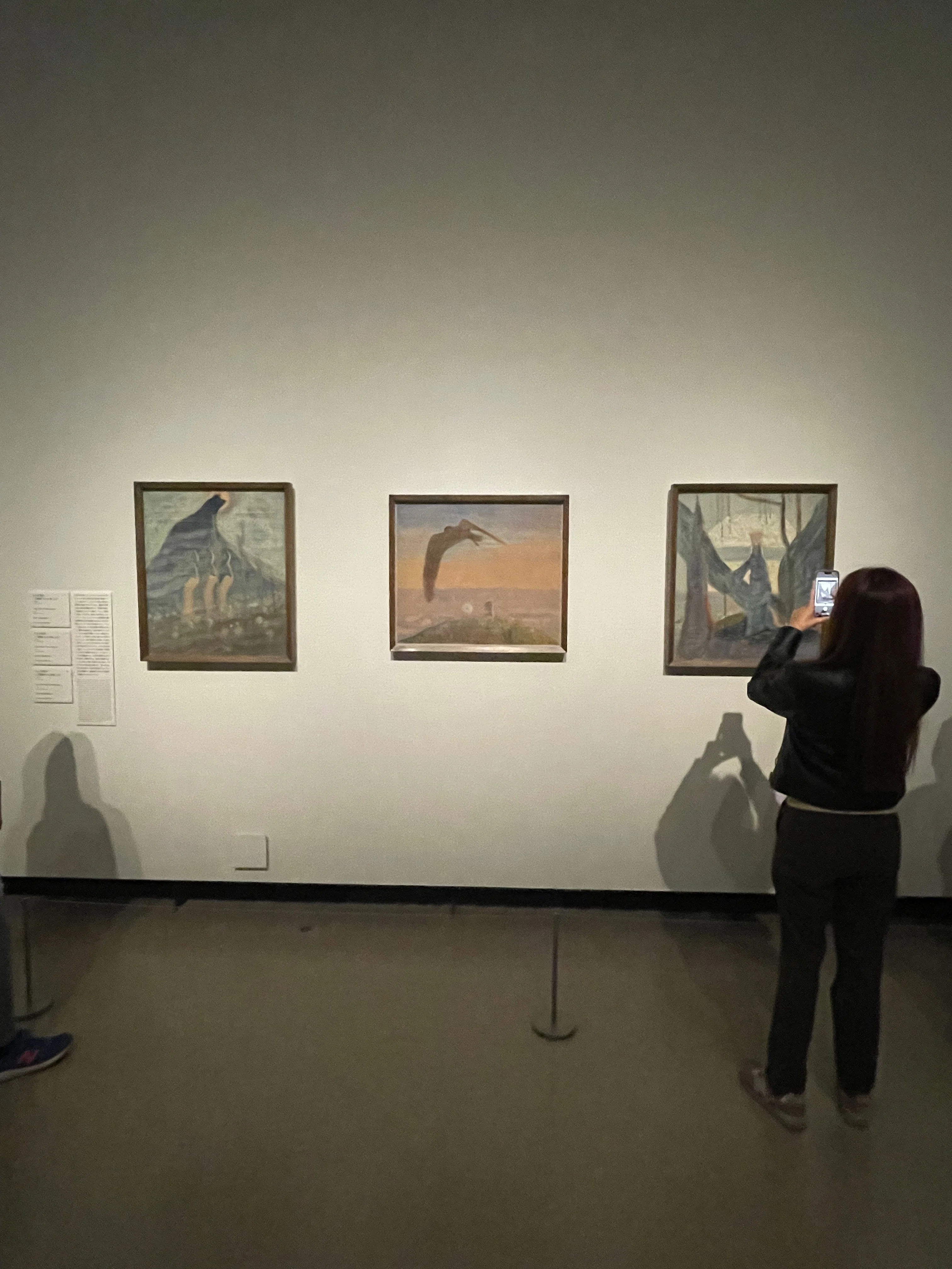 美術館紹介 No.8: - 国立西洋美術館 企画展 チュルリョーニス展 内なる