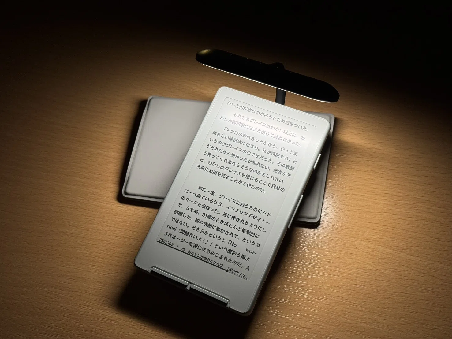 Xteink X3 レビュー①｜名刺サイズの本棚、届きました｜Xteink Note