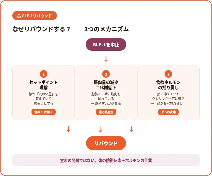 GLP-1ダイエットをやめたらリバウンドする？─ 糖尿病専門医が教える