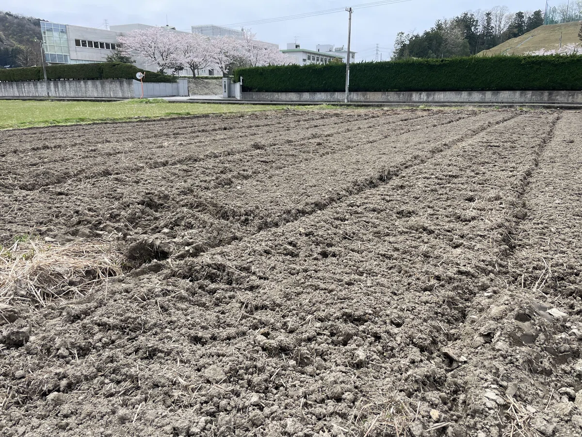 休耕地の整備を進める|マルカワみそ農園