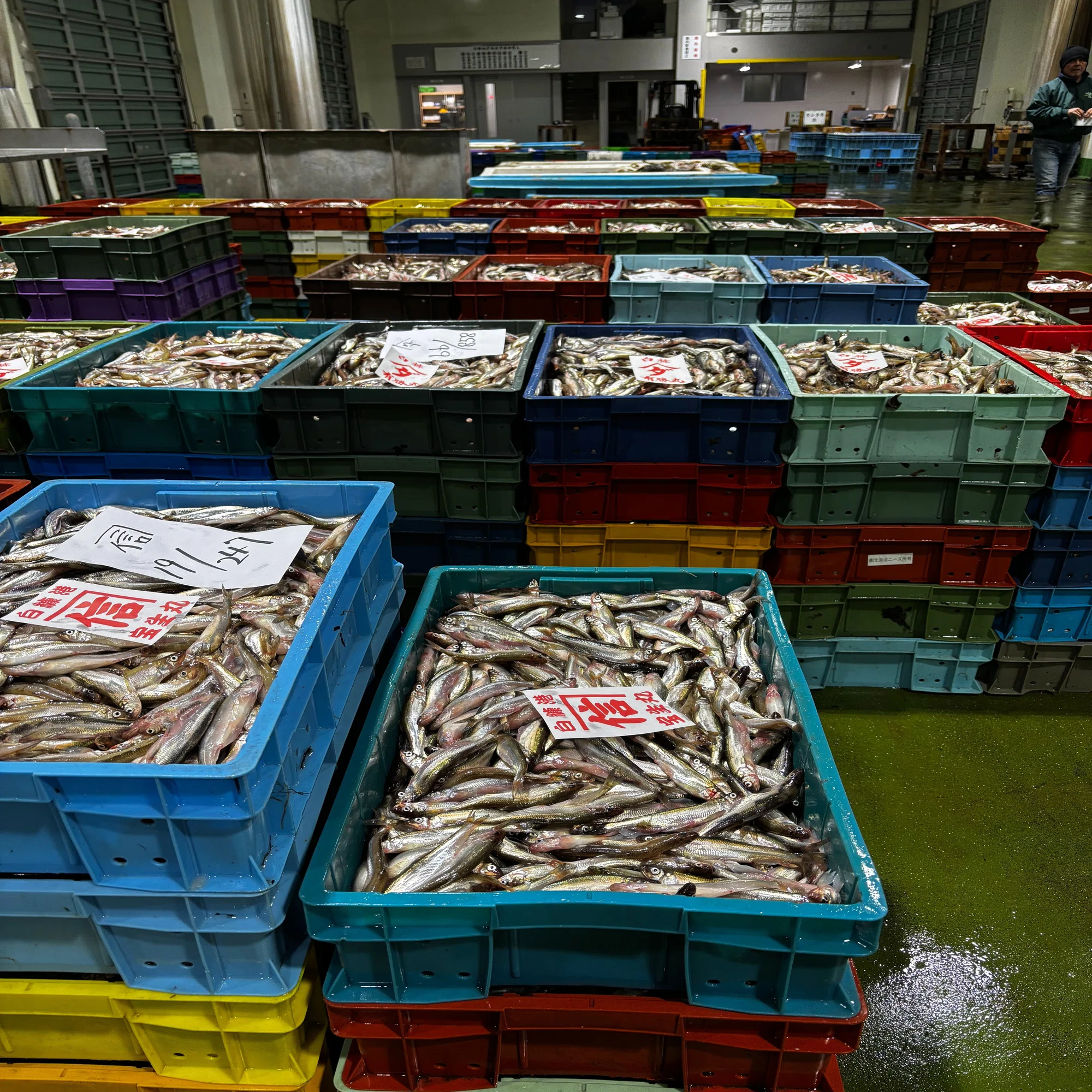 白糠町で60年続く老舗・大森水産の事業承継と町の魚「ししゃも」の今 