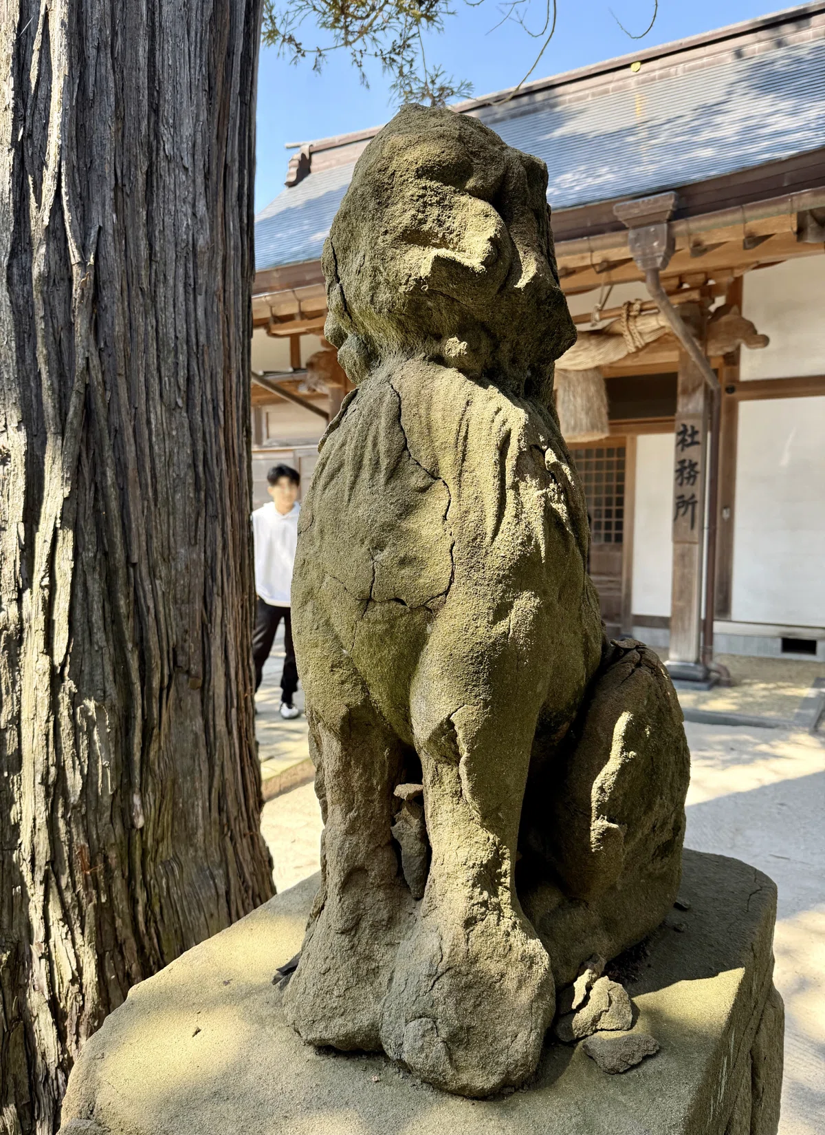 いつも（出雲）君と✧♡③出雲の神社に迎えられる｜あやのん