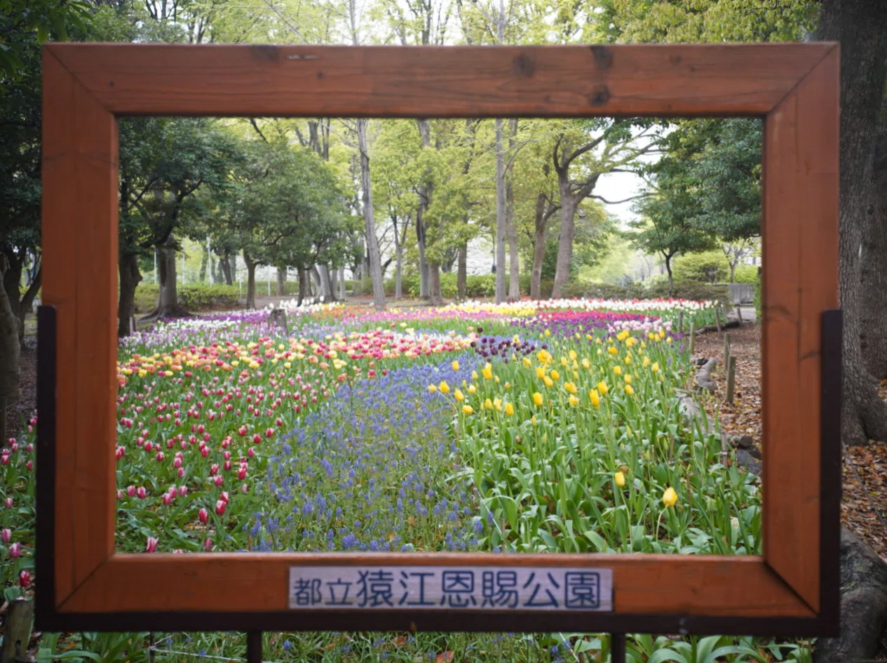 江東区】絵になる公園？アートと絵本も楽しめる公園。｜PARKFUL
