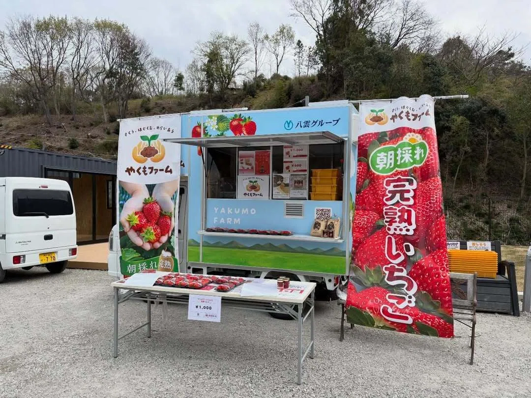 🍓 もっと楽しめる農園へ、少しずつ進化中です｜やくもファーム公式