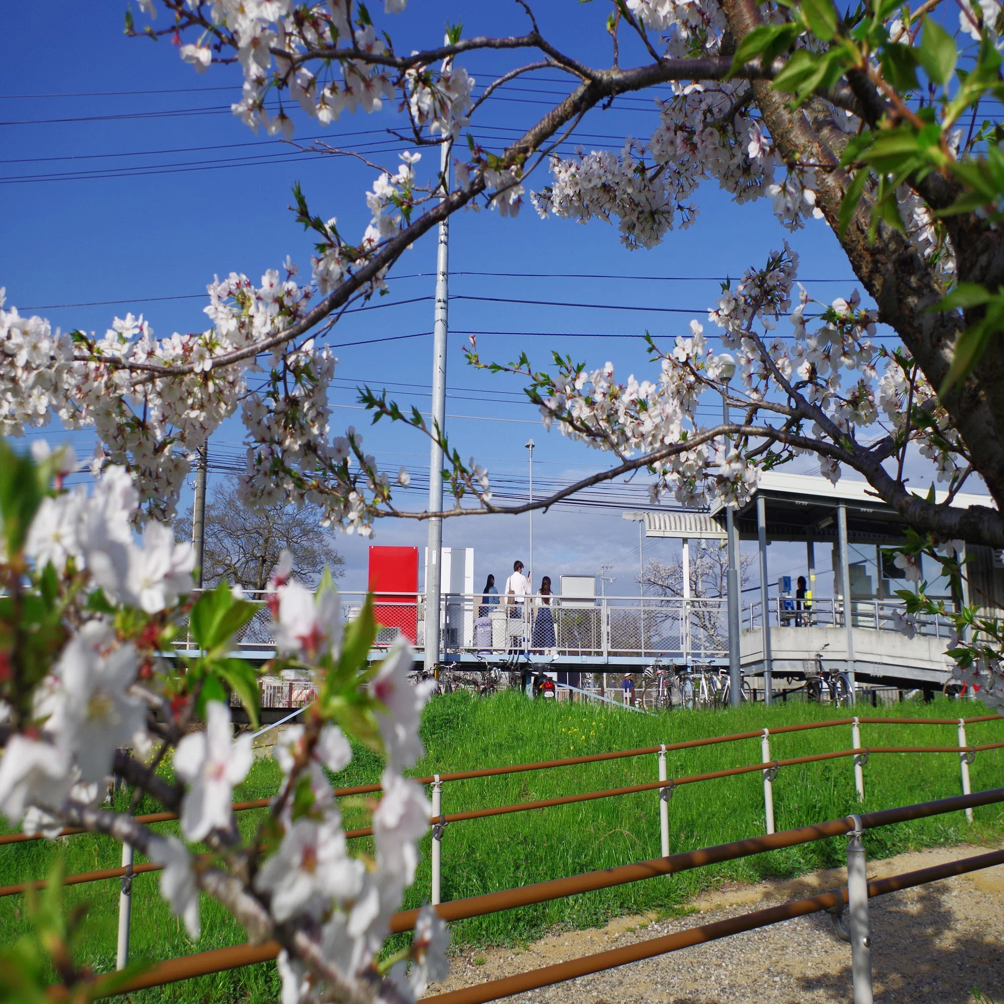 レンズ沼あれこれ：smc PENTAX-DA L 18-50mmF4-5.6 DC WR REはコスパ 