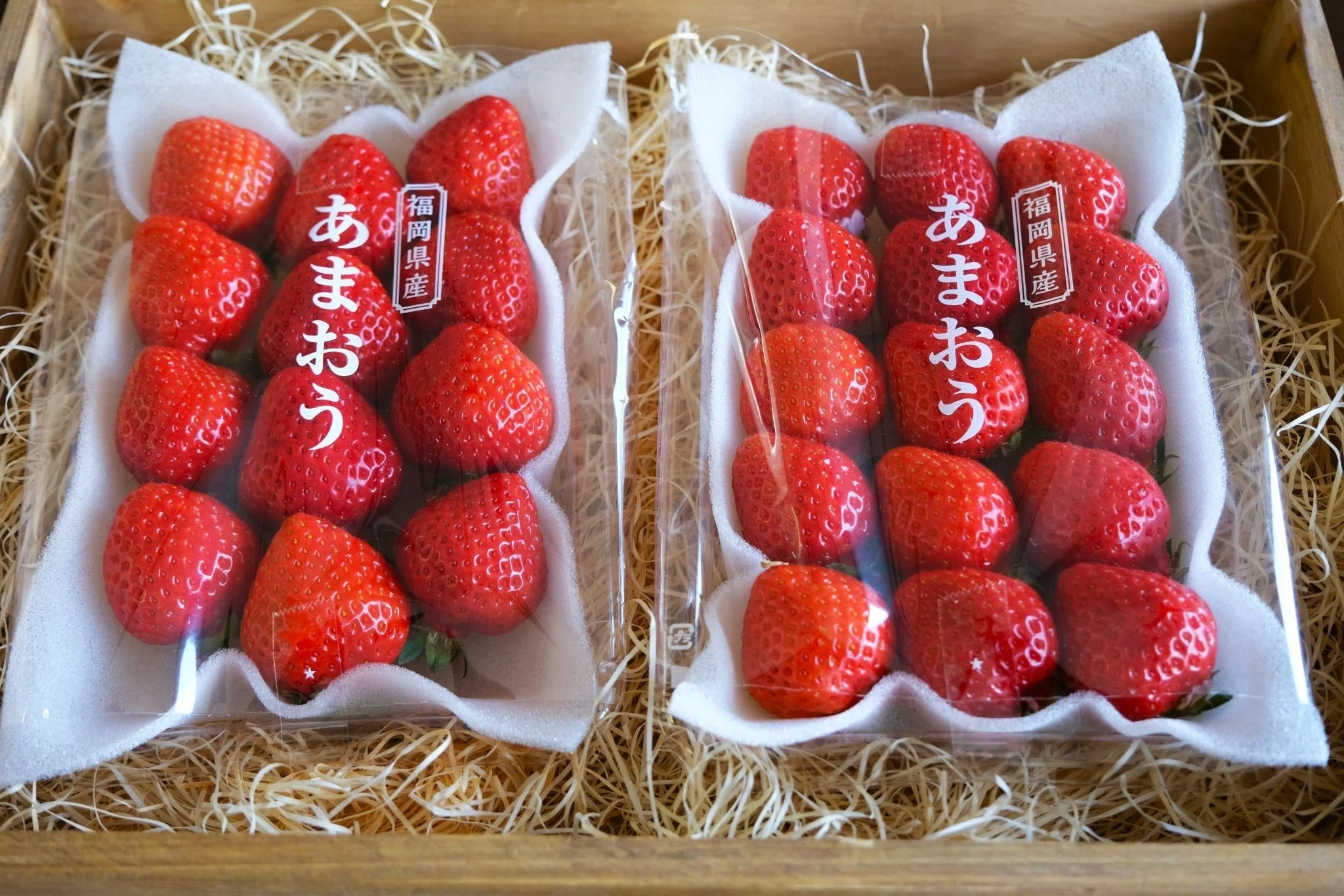 いちごワン(＾ω＾Ｕ)♪ あまおうって他のいちごと何が違う？｜ONE GO公式note