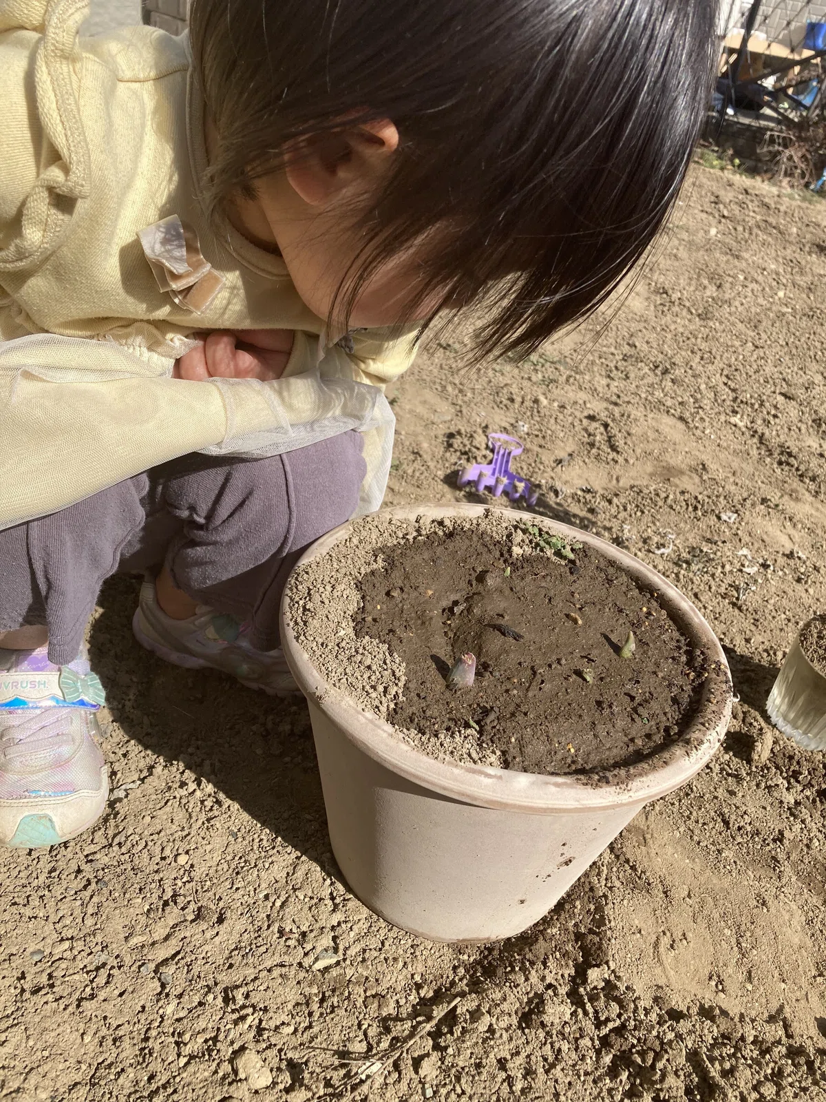 [Parenting] Words from the kindergarten principal that I remember in ...