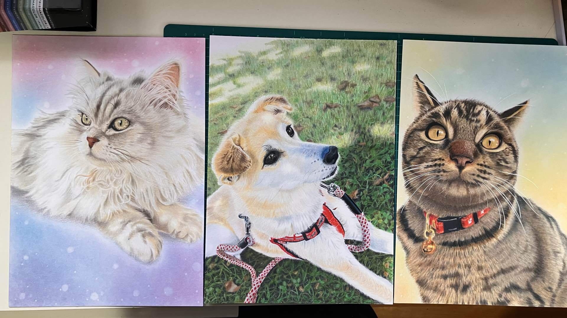 ウニ郎です♪　色鉛筆画 A5 犬・猫♡４枚 色鉛筆画③虹の橋を渡ったワンちゃん🐶｜gummychokonote