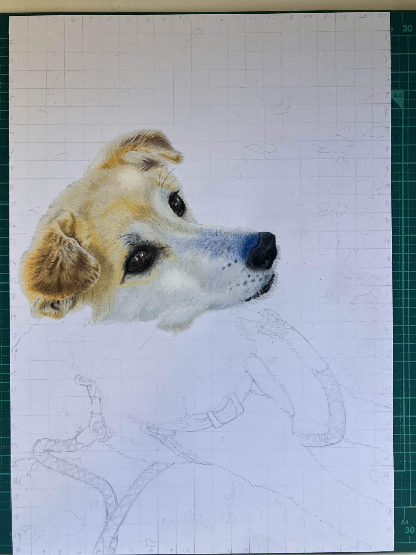 色鉛筆画③虹の橋を渡ったワンちゃん🐶|gummychokonote 色鉛筆画③虹の橋を渡ったワンちゃん🐶|gummychokonote