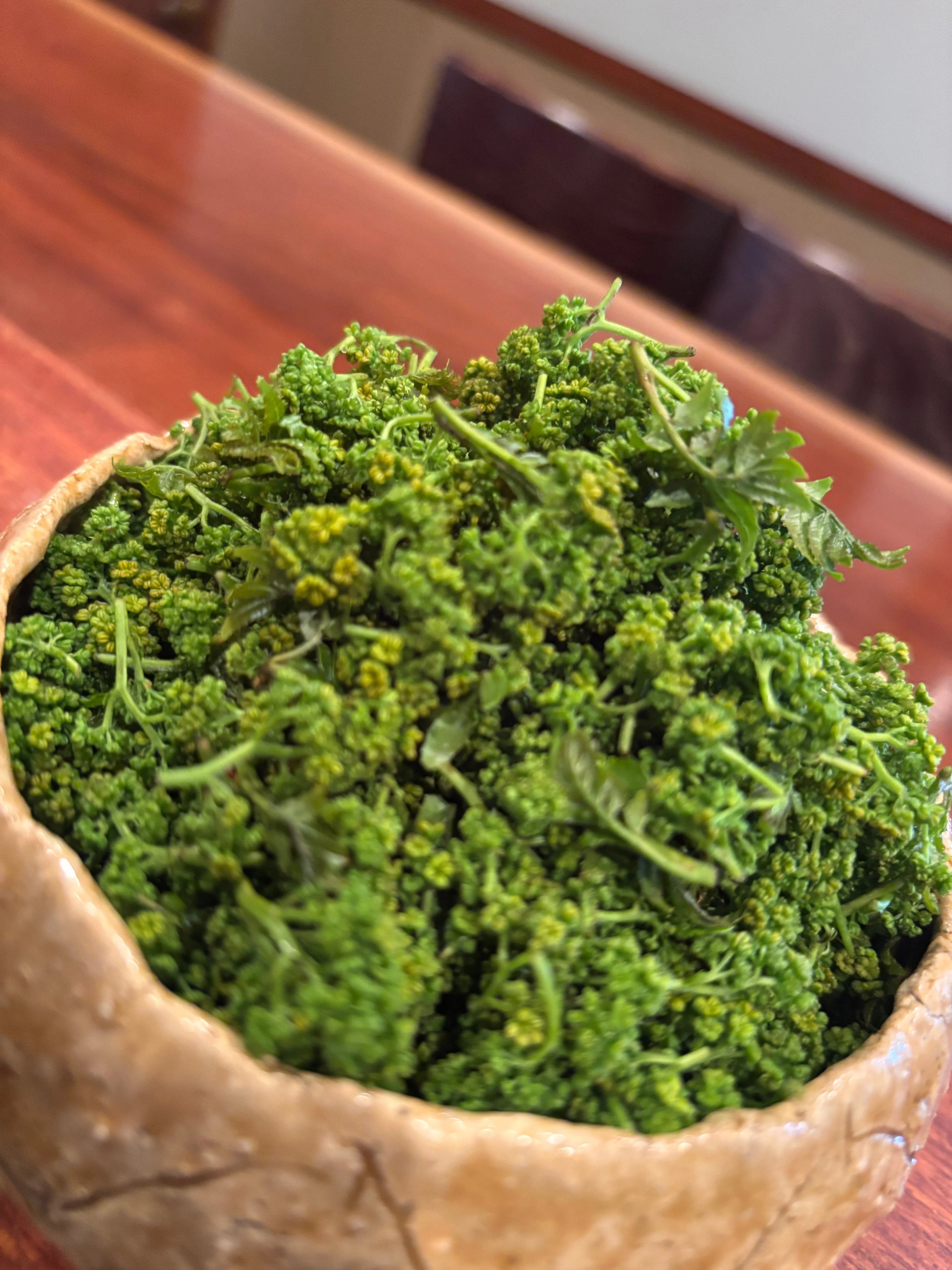 花山椒の季節に、一本の木の時間をいただく｜根津日本酒多田