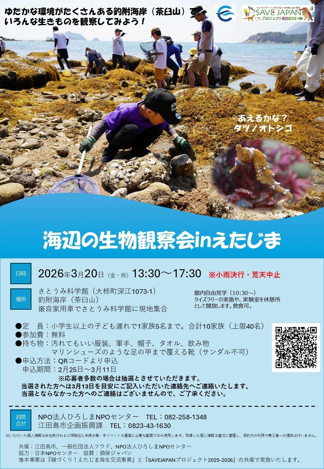 初めてのアマモ種まき体験レポート 「海辺の生物観察会in江田島