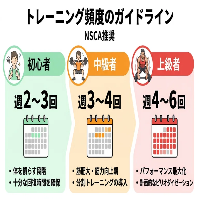 NSCA-CPT対策】トレーニングプログラムの組み方完全ガイド｜頻度・強度