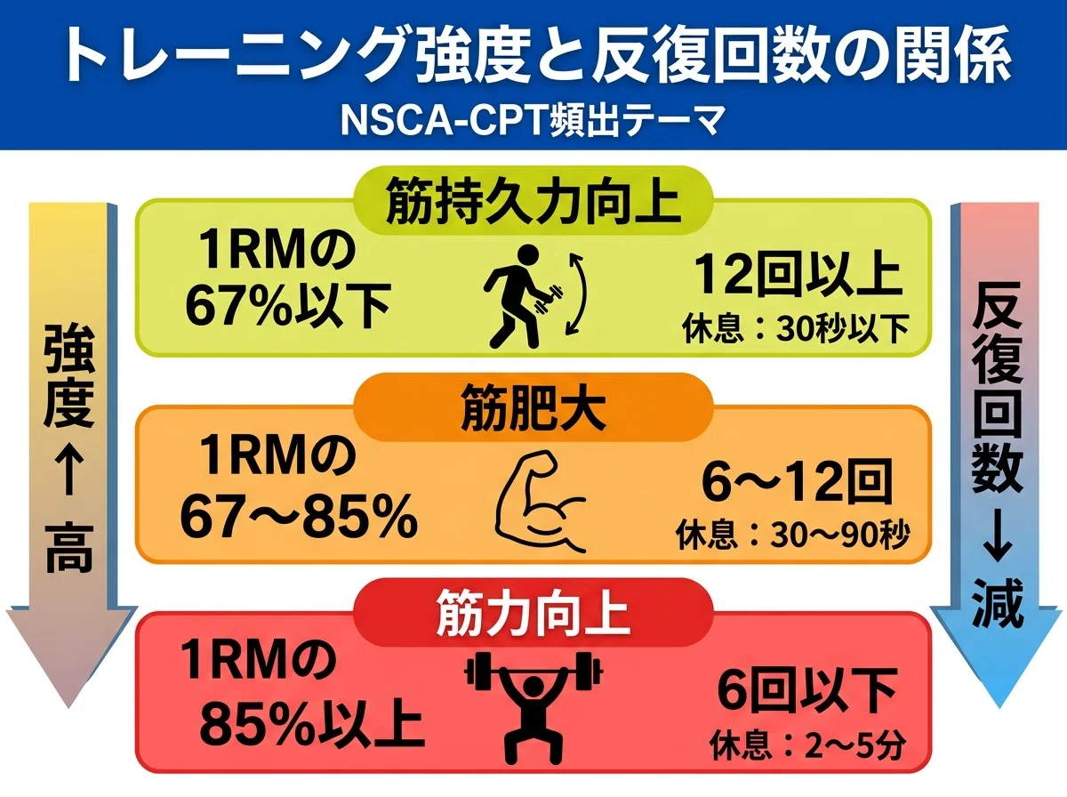 NSCA-CPT対策】トレーニングプログラムの組み方完全ガイド｜頻度・強度