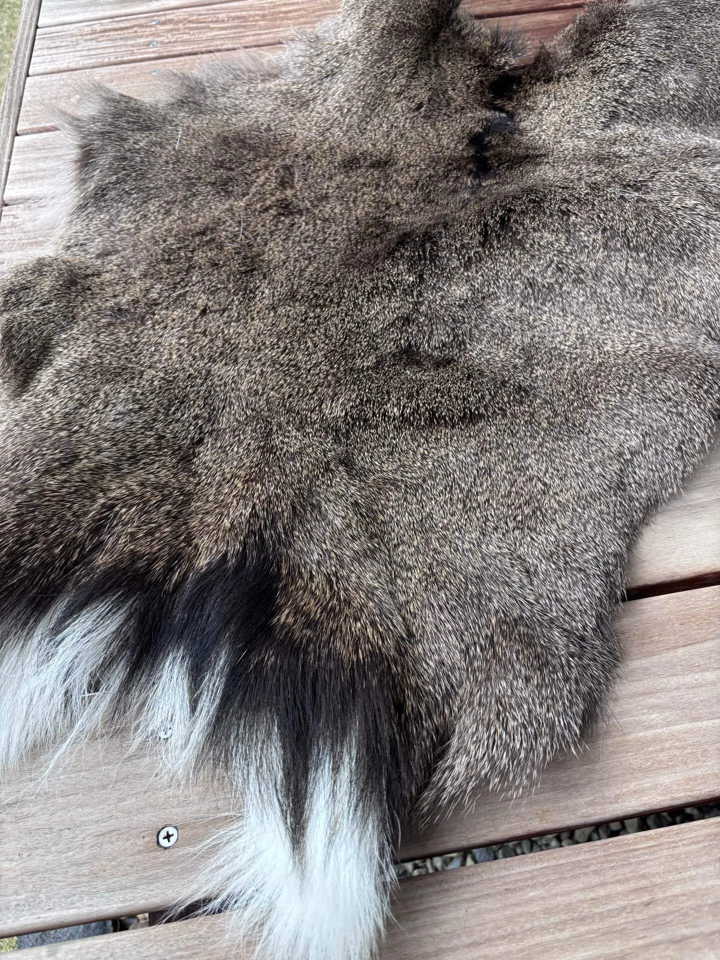 狩猟のロマン】鹿の毛皮でミョウバン鞣しをやってみた！！！要点やコツ