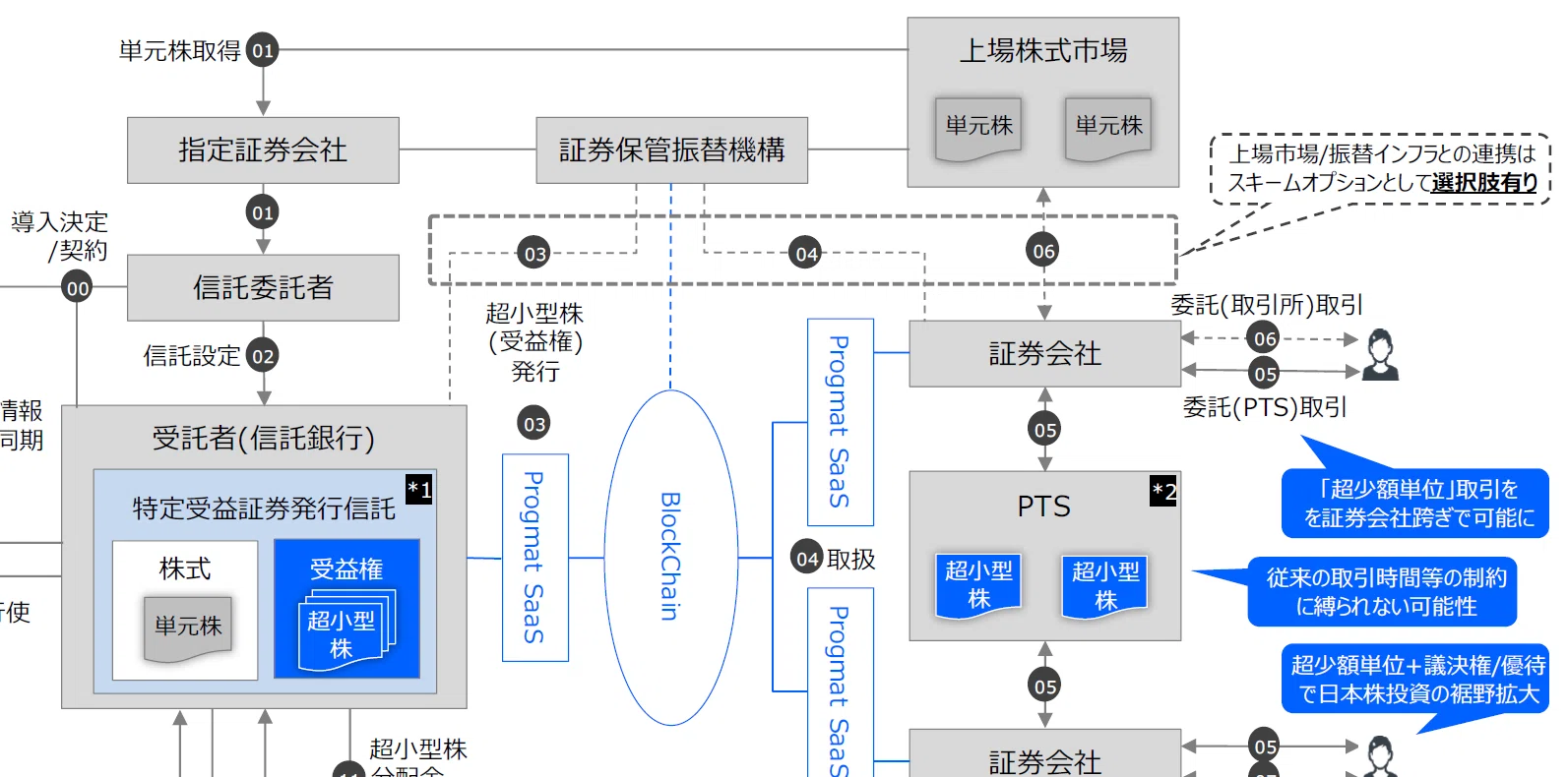 Detailed Explanation] What are the specific scheme options and key 