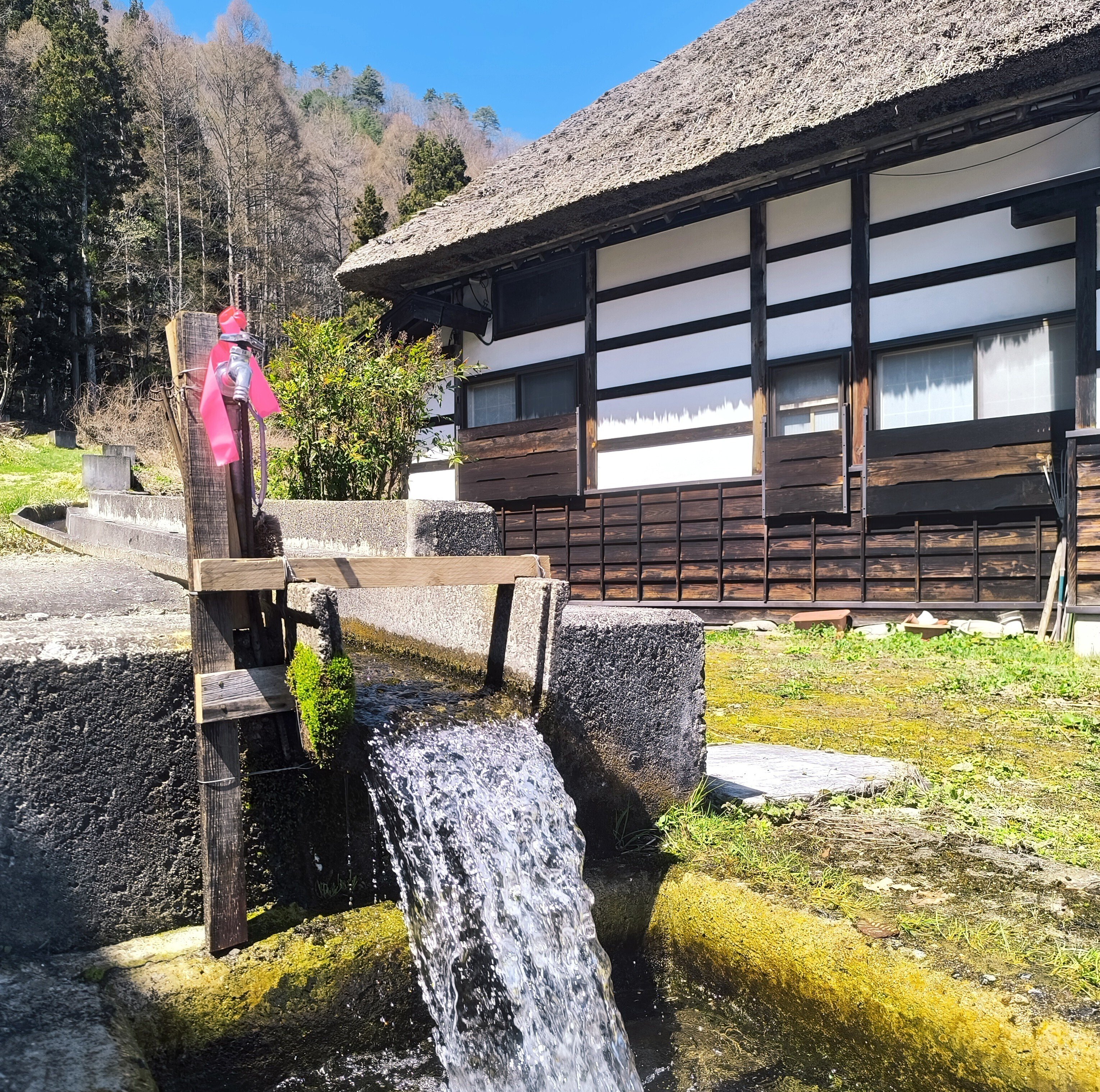 安政七年製　古い湯冷まし　隠れたお宝かも すりこ木。 胡麻をする道具。 香りをひきだす。 #金胡麻焙煎所 #金胡麻