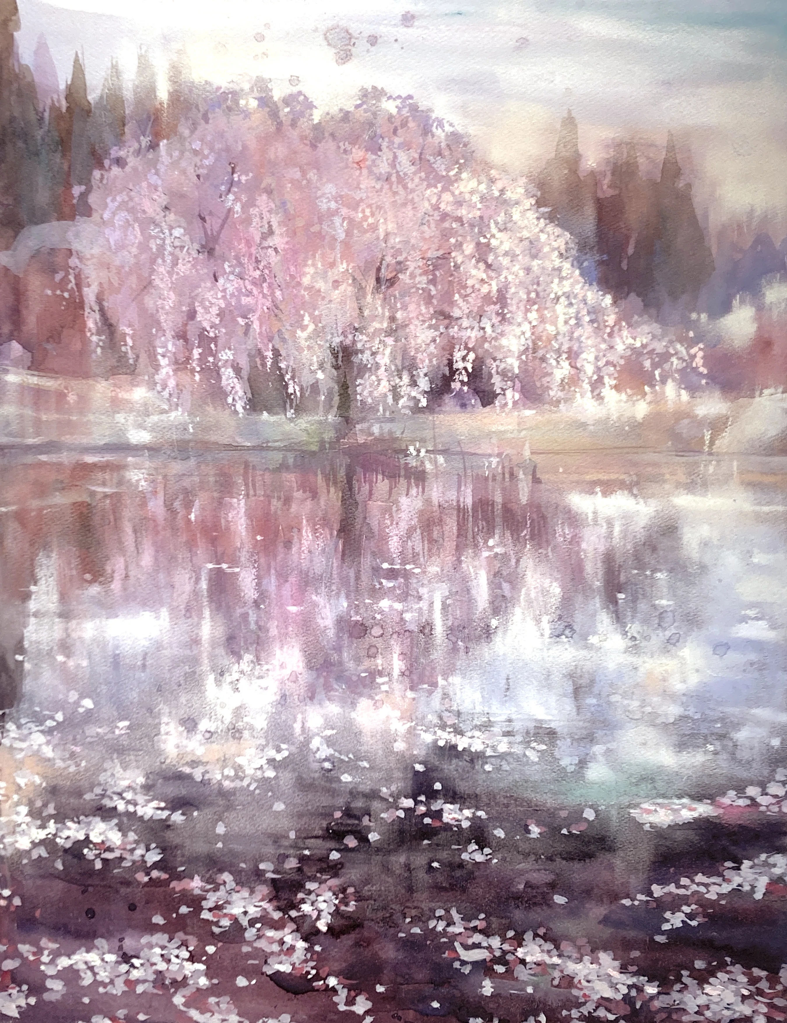 桜を描くという、無謀な挑戦｜vasenoir 村田 旭