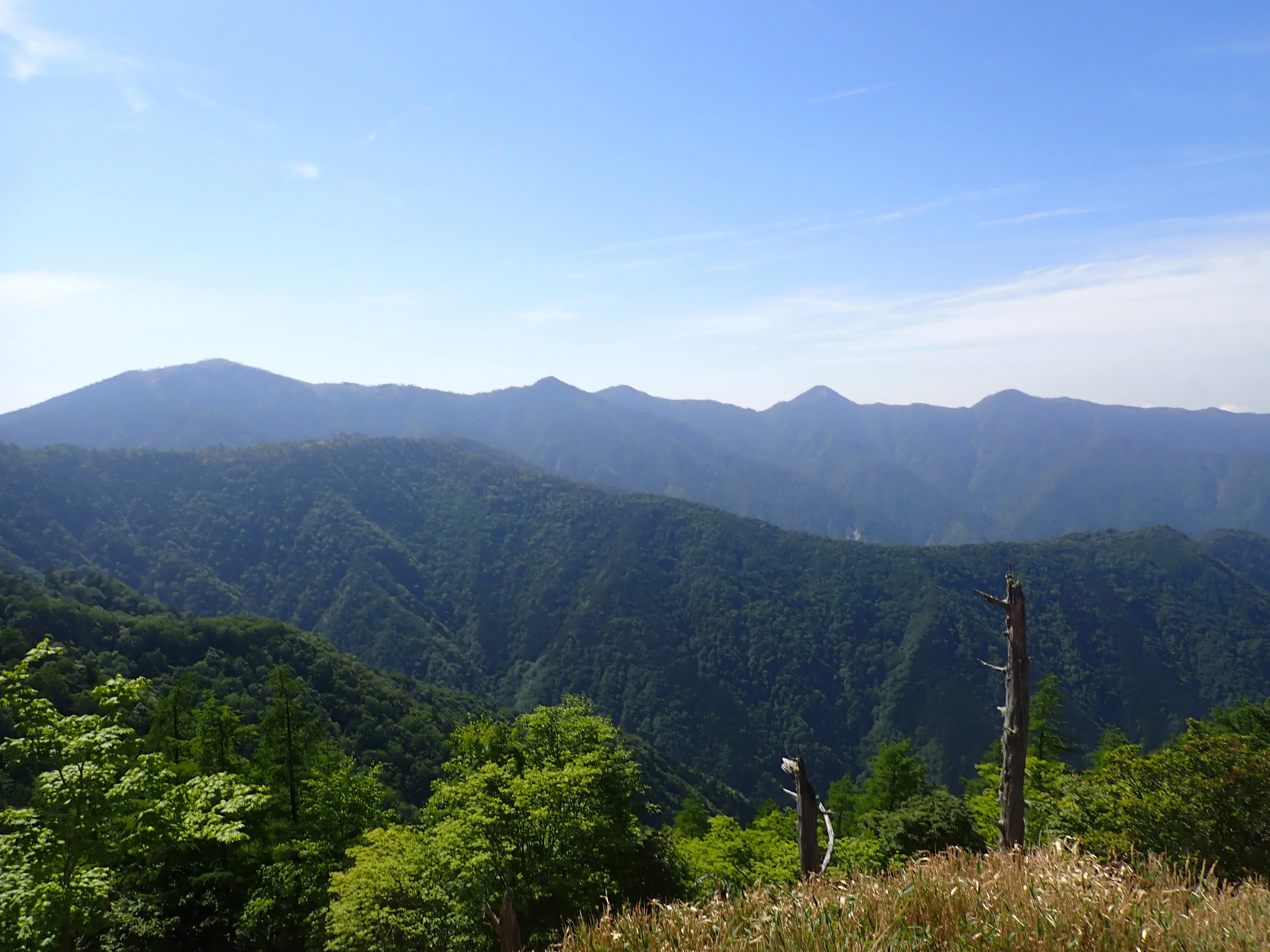 [Southern Alps Deep South] Kurozawa-yama to Shauzu-yama Loop | Tochu ...