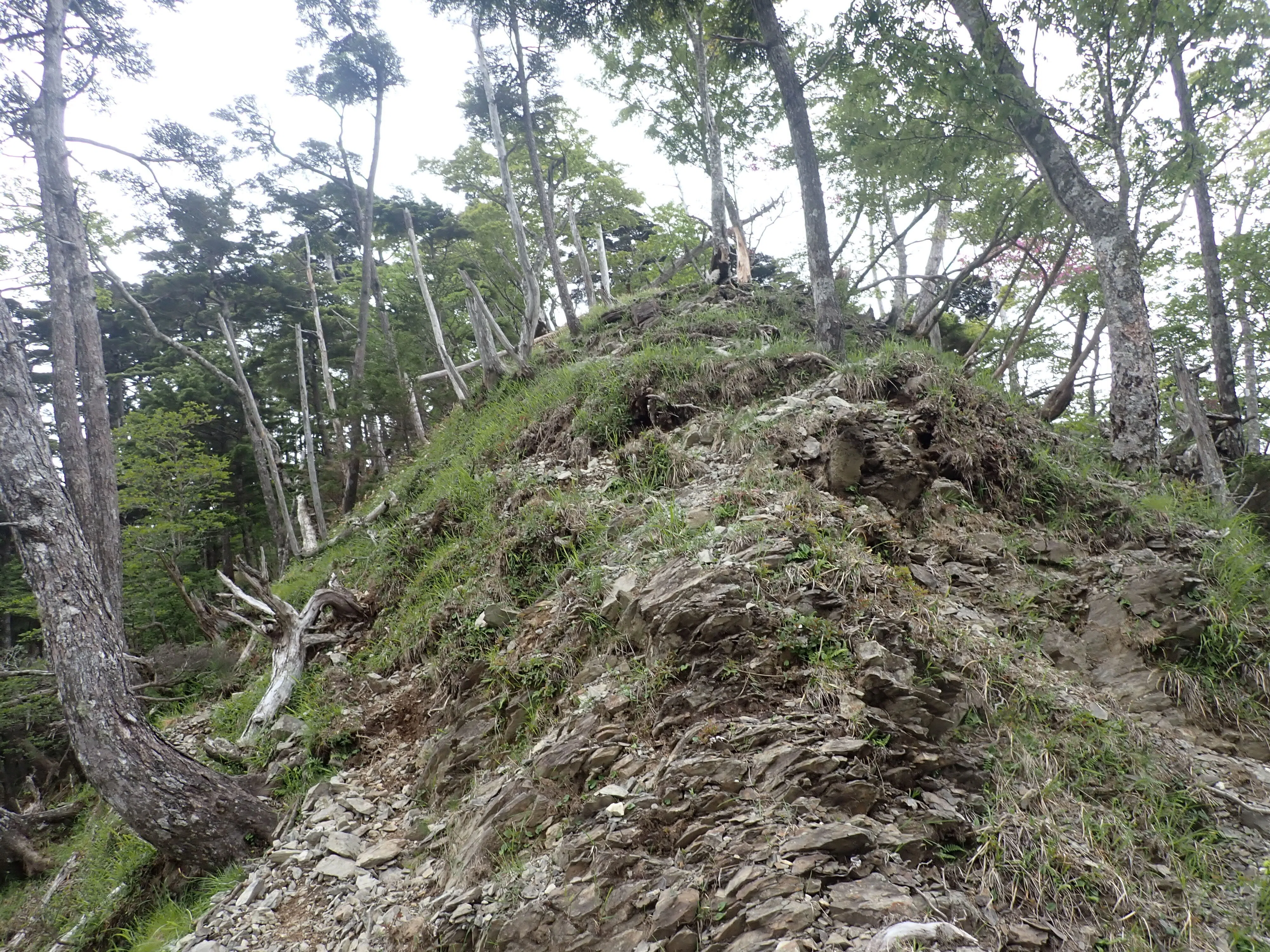 [Southern Alps Deep South] Kurozawa-yama to Shauzu-yama Loop | Tochu ...