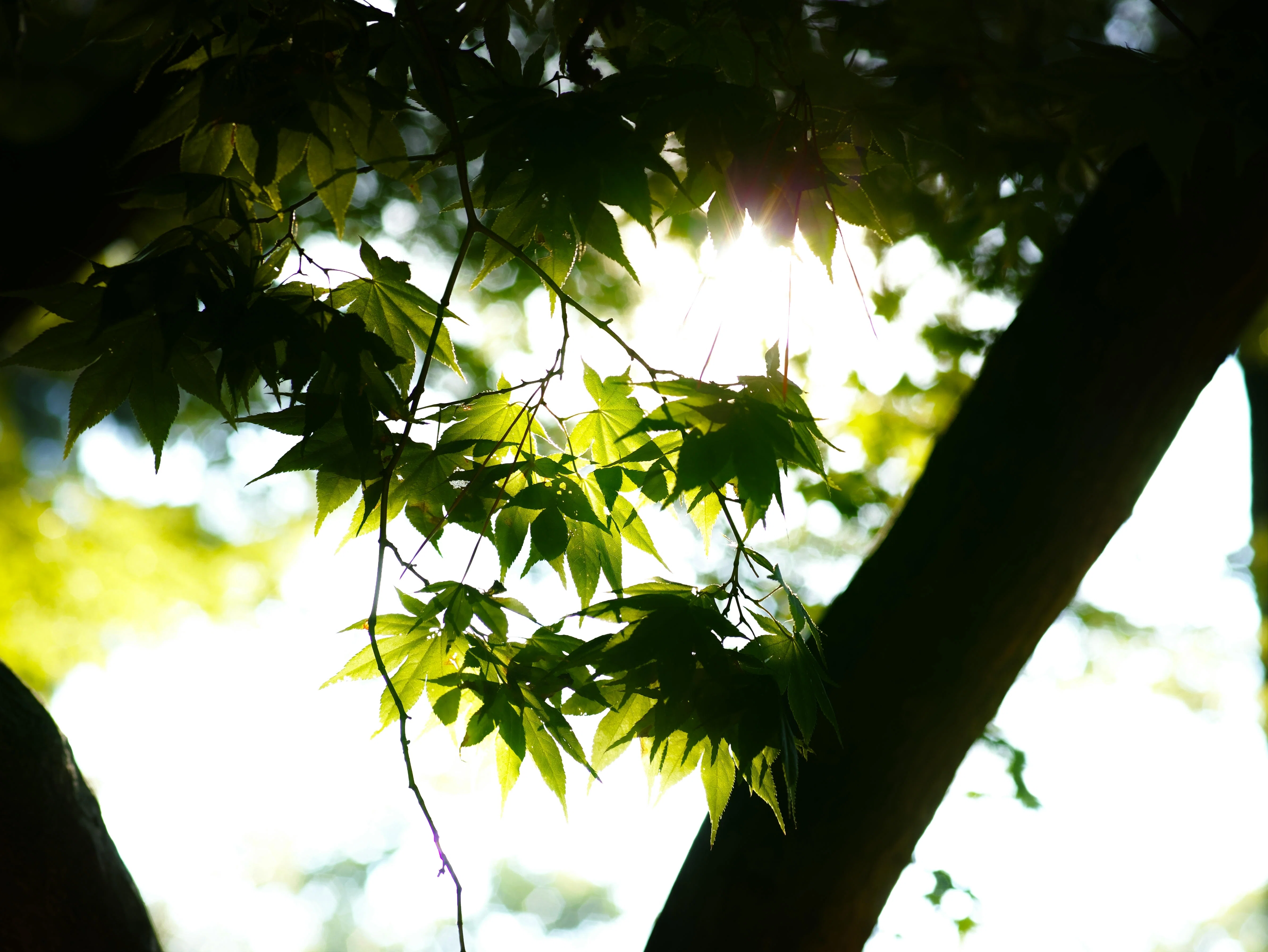 Today's selections #2769｜TakeKuroki