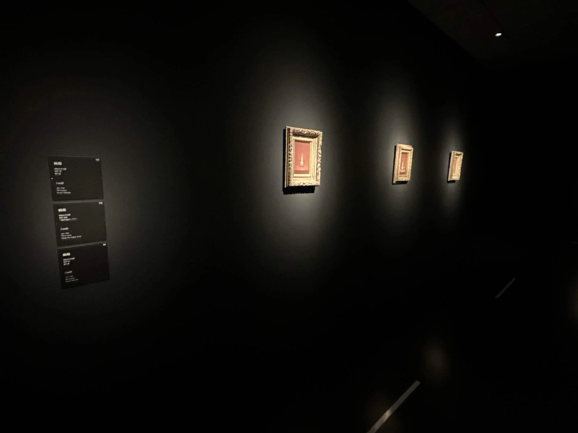 没後50年 髙島野十郎展に行ってきた——「菊の花」との対話｜あかり。