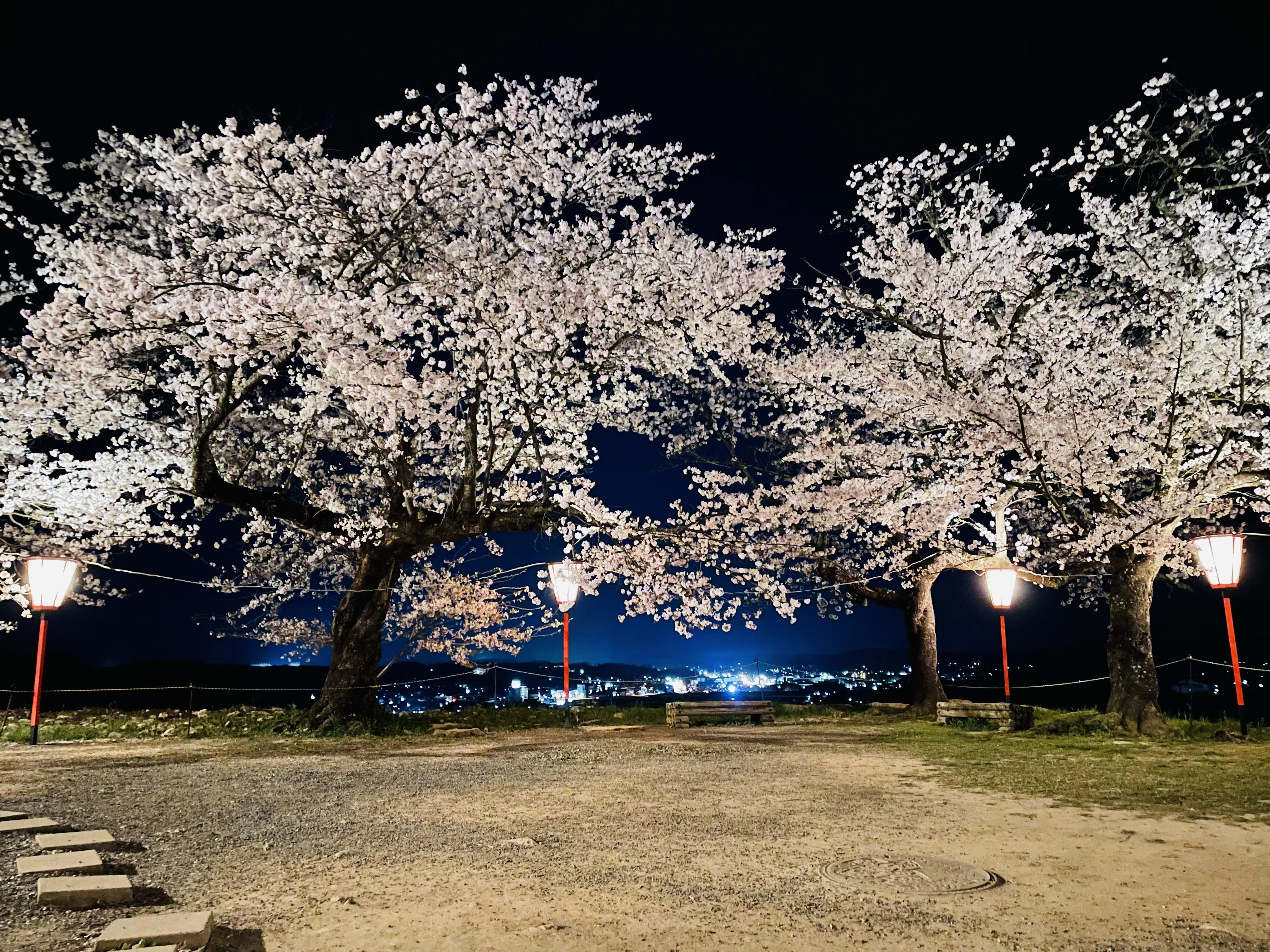 桜✖️津山城は「ワノ国」感が満載｜ペンクセ先生