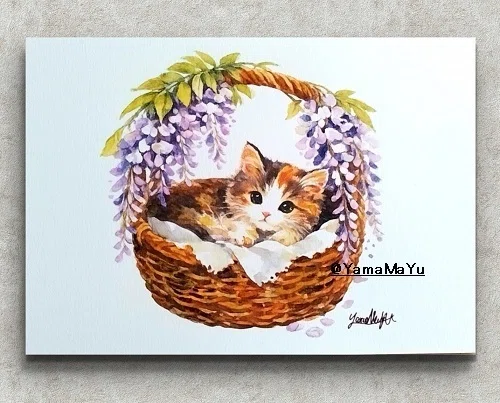 🧺 【新作】藤の花に守られて「藤天蓋のまどろみ」— 静かな春の