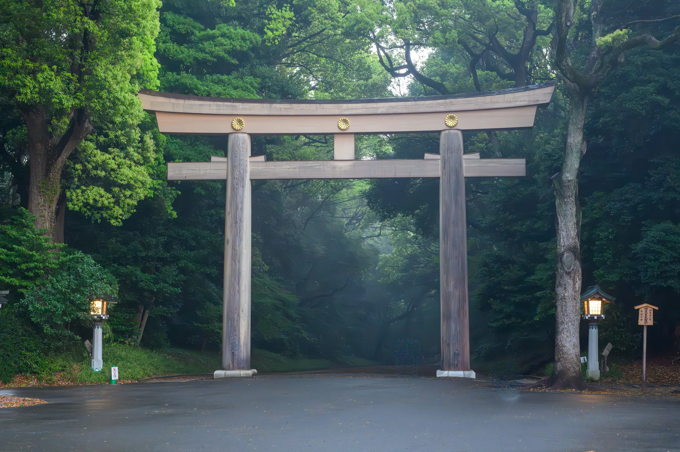 明治神宮。霧と朝日がつくる幻想の参道｜佐宗大介＠旅と散歩と写真と