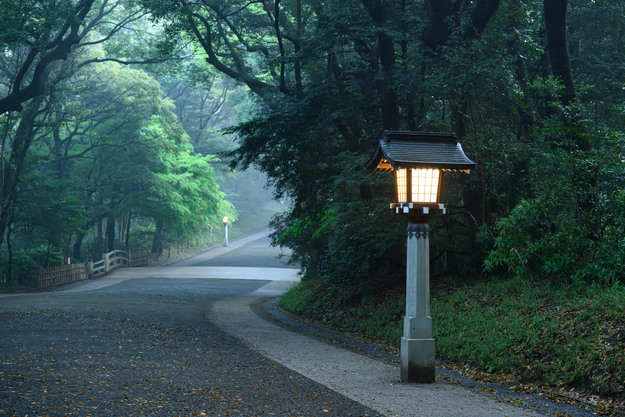 明治神宮。霧と朝日がつくる幻想の参道｜佐宗大介＠旅と散歩と写真と