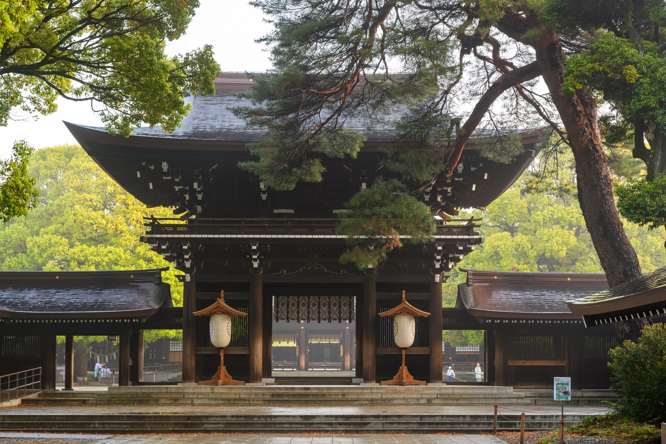 明治神宮。霧と朝日がつくる幻想の参道｜佐宗大介＠旅と散歩と写真と