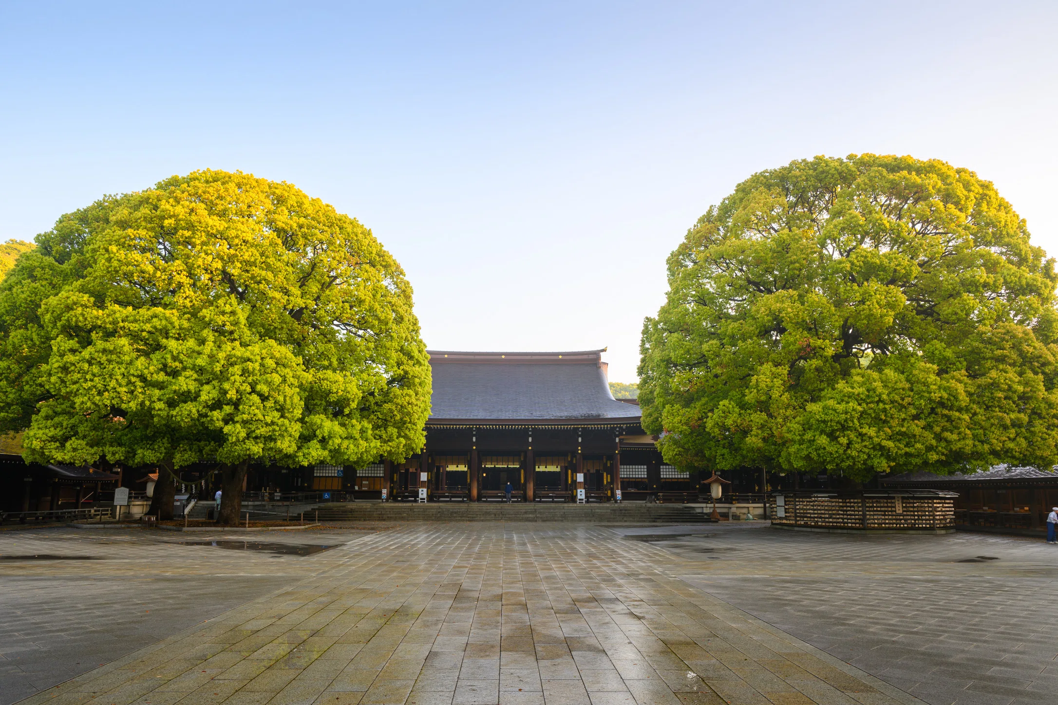 明治神宮。霧と朝日がつくる幻想の参道｜佐宗 大介＠週末ひとり旅と街歩き