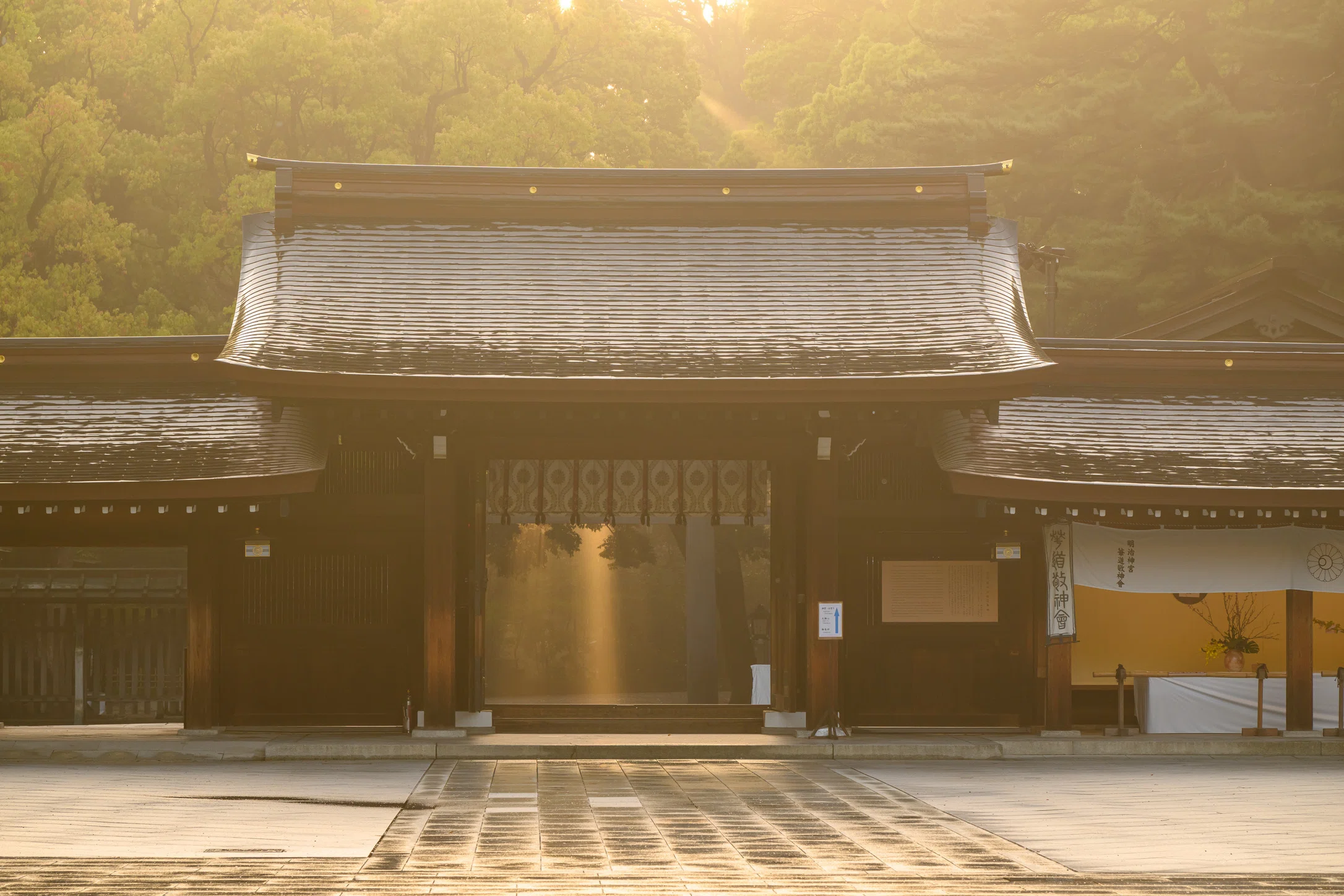 明治神宮。霧と朝日がつくる幻想の参道｜佐宗大介＠旅と散歩と写真と