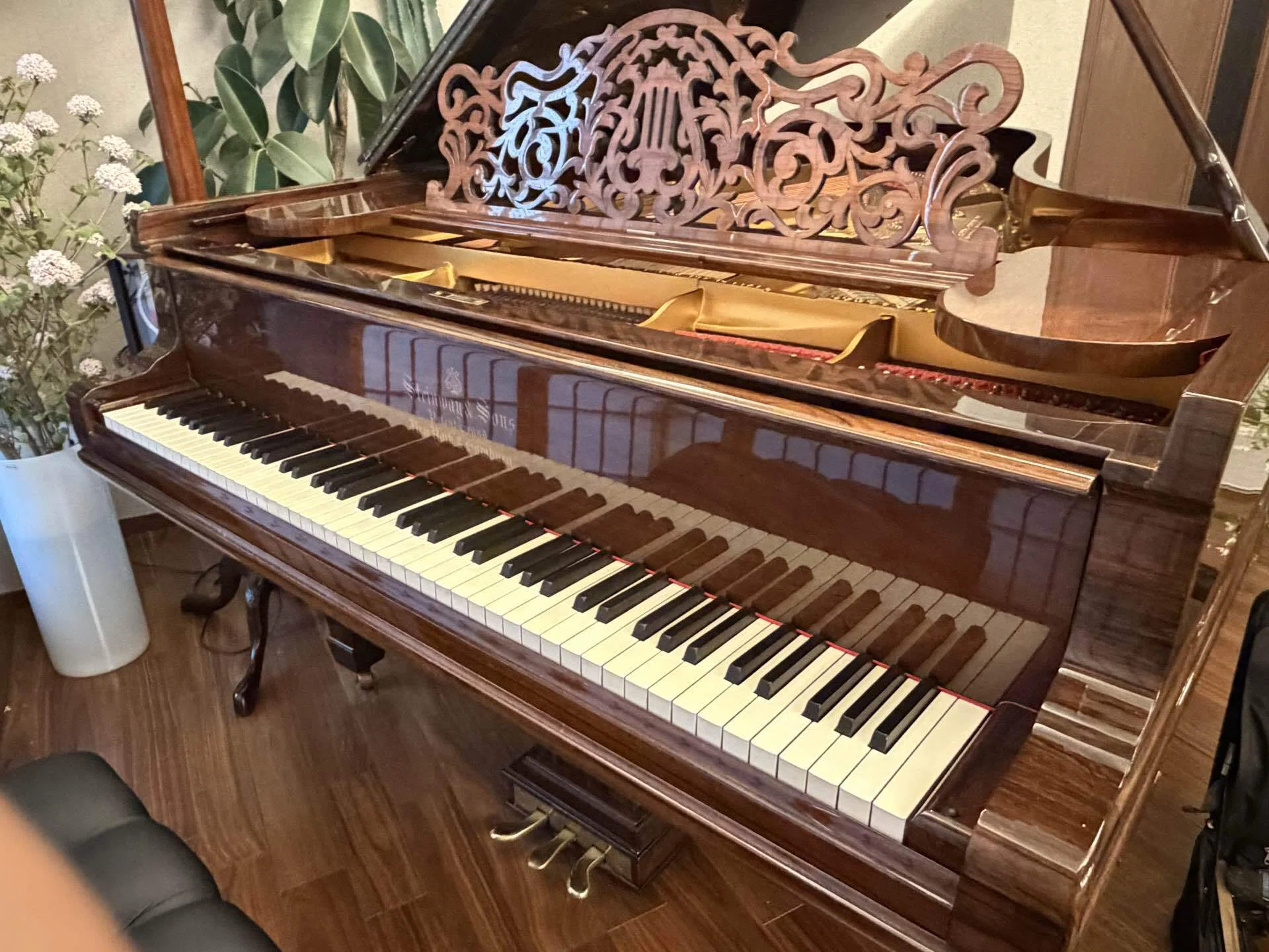 bari様相談用 リサイタル準備中！☆1 | AVEC PIANO - 楽天ブログ