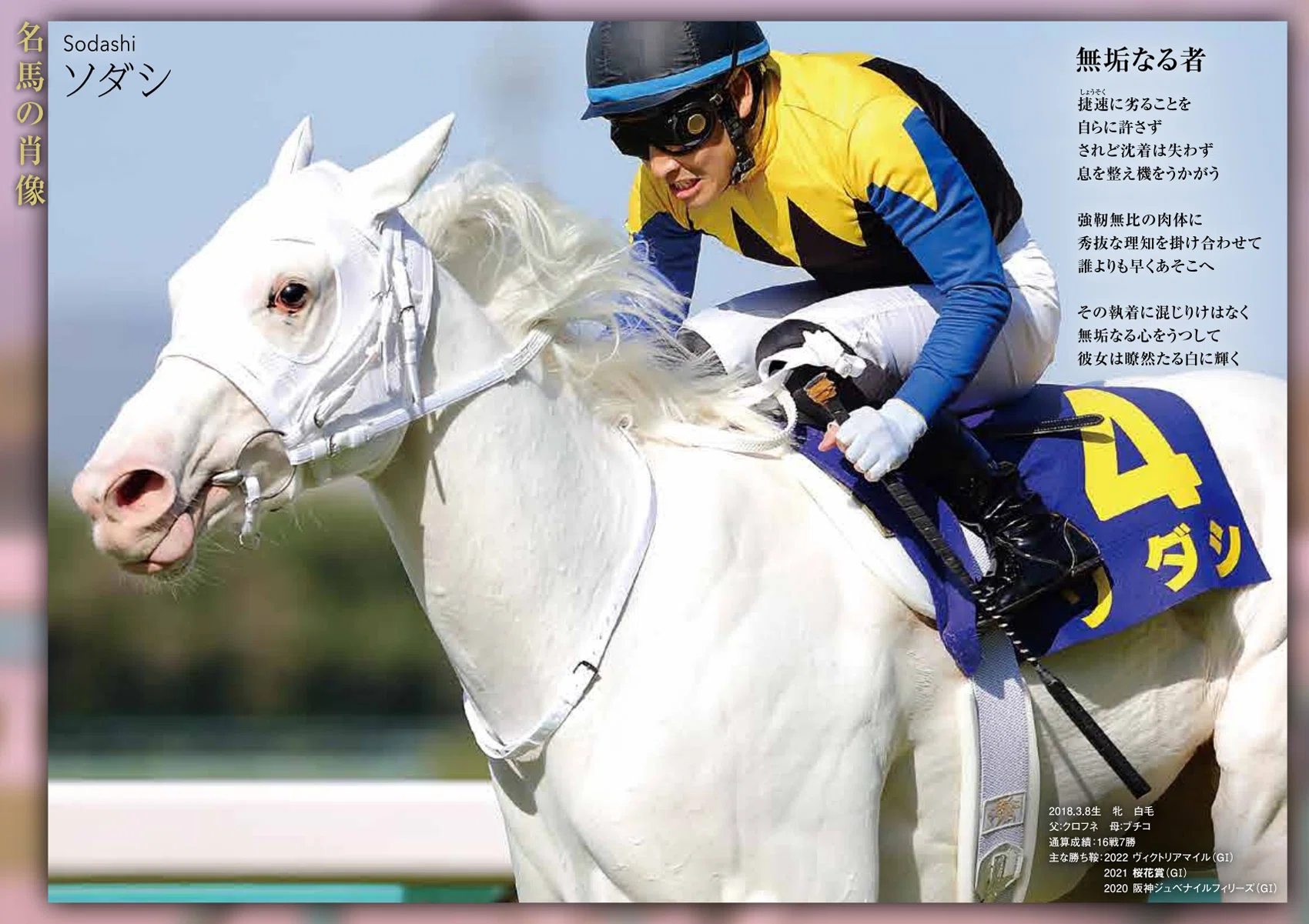 桜花賞2026サイン攻略4【レープロ解読】｜日本サイン競馬会