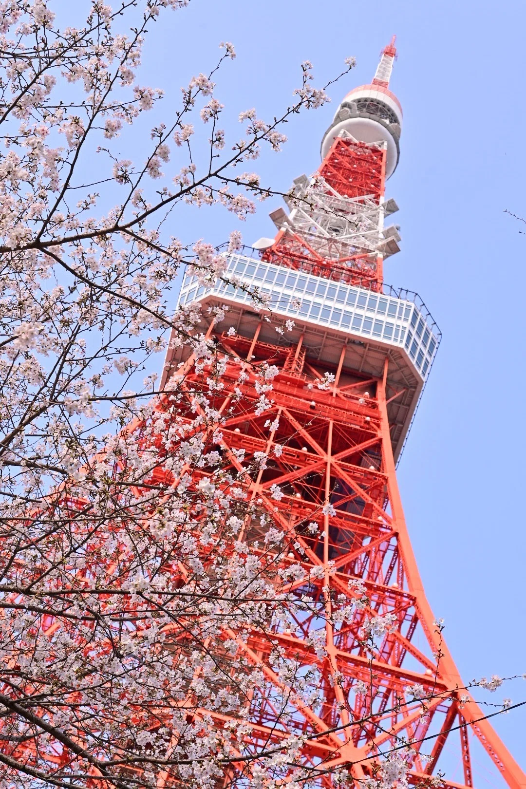 【希少】レア　東京タワー 貯金額モデル 赤 希少】レア 東京タワー 貯金額モデル 赤 【公式通販】