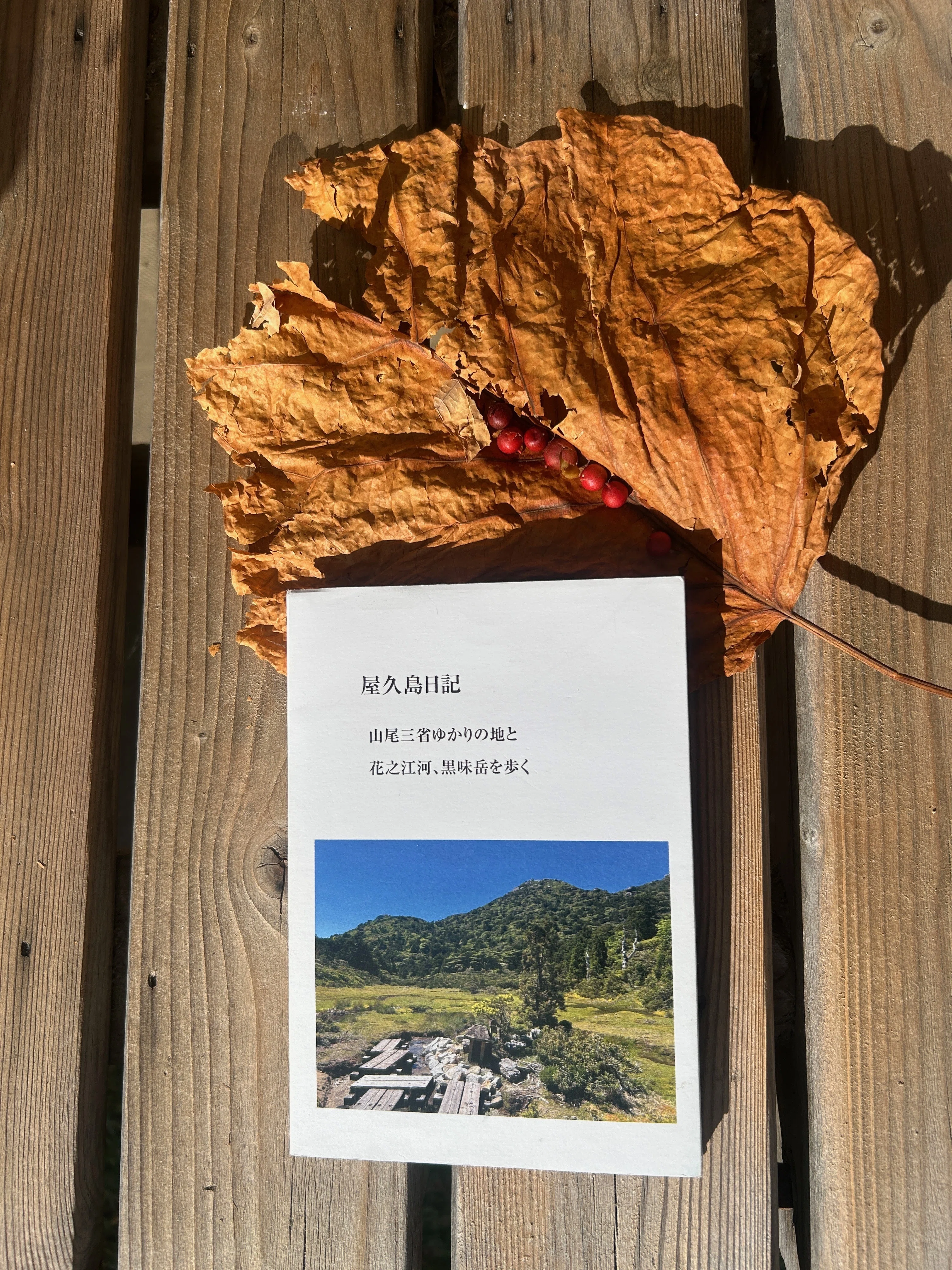 【売り切り】雑誌　Guerrilla Zine No.3 限定1000部 4/18 武庫之荘「ZINEの商店街」に「のはらの風」で出店します！｜の