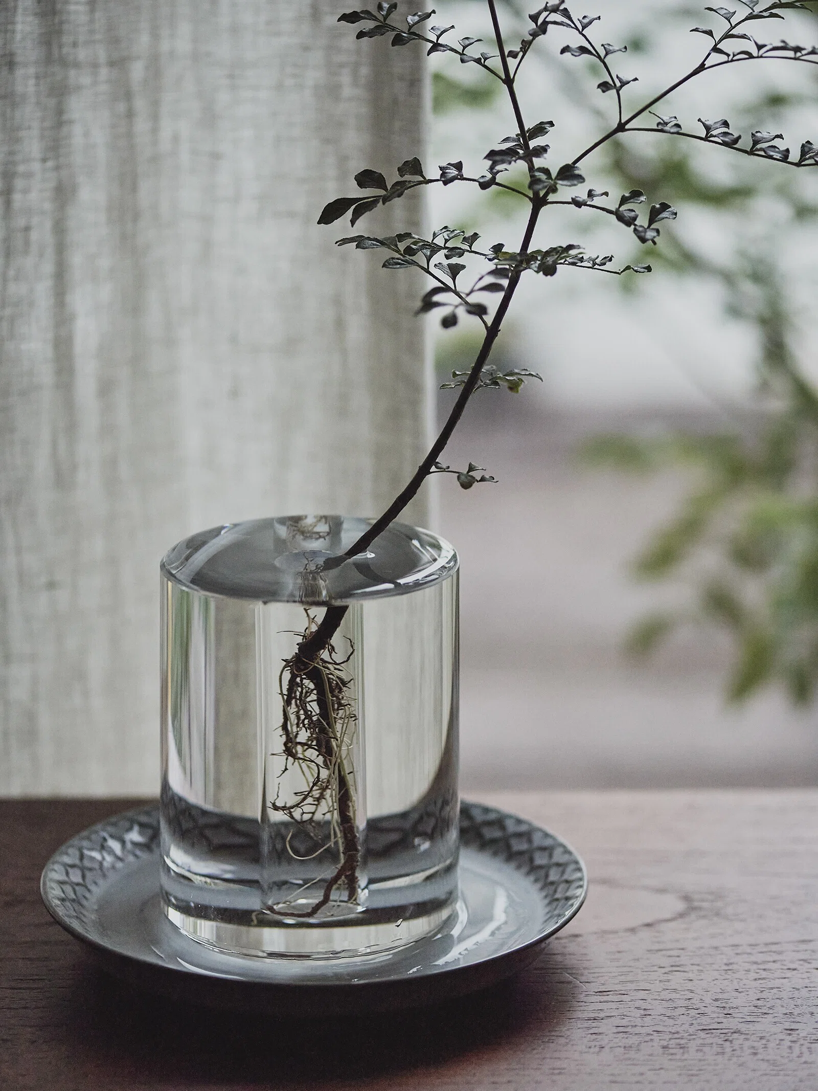 境界線が溶けていく。水と花器、植物が一体となるフラワーベース