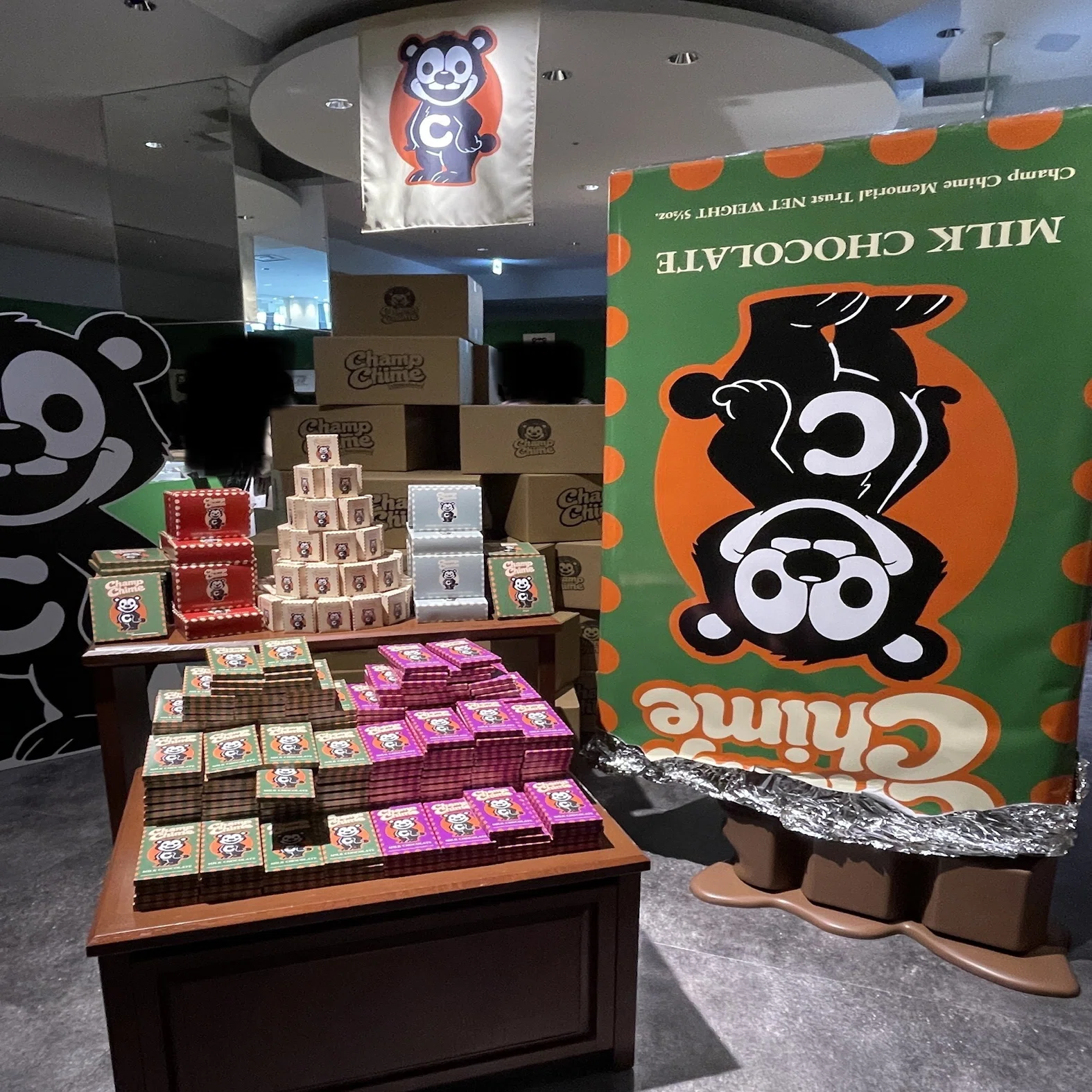 活動歴および当時の関連ビジュアル記録