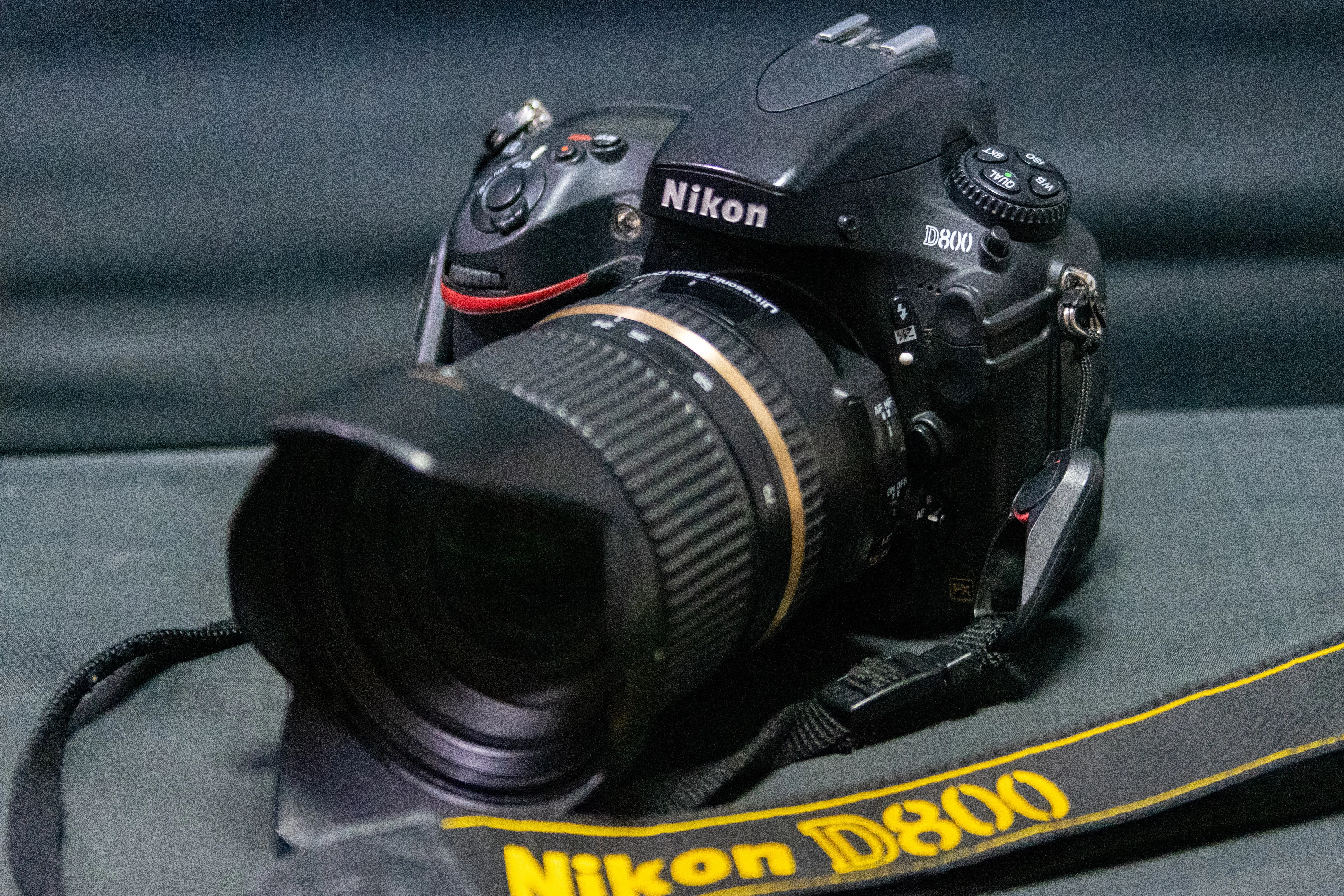 Nikon D800は今でも使える？｜カズホ