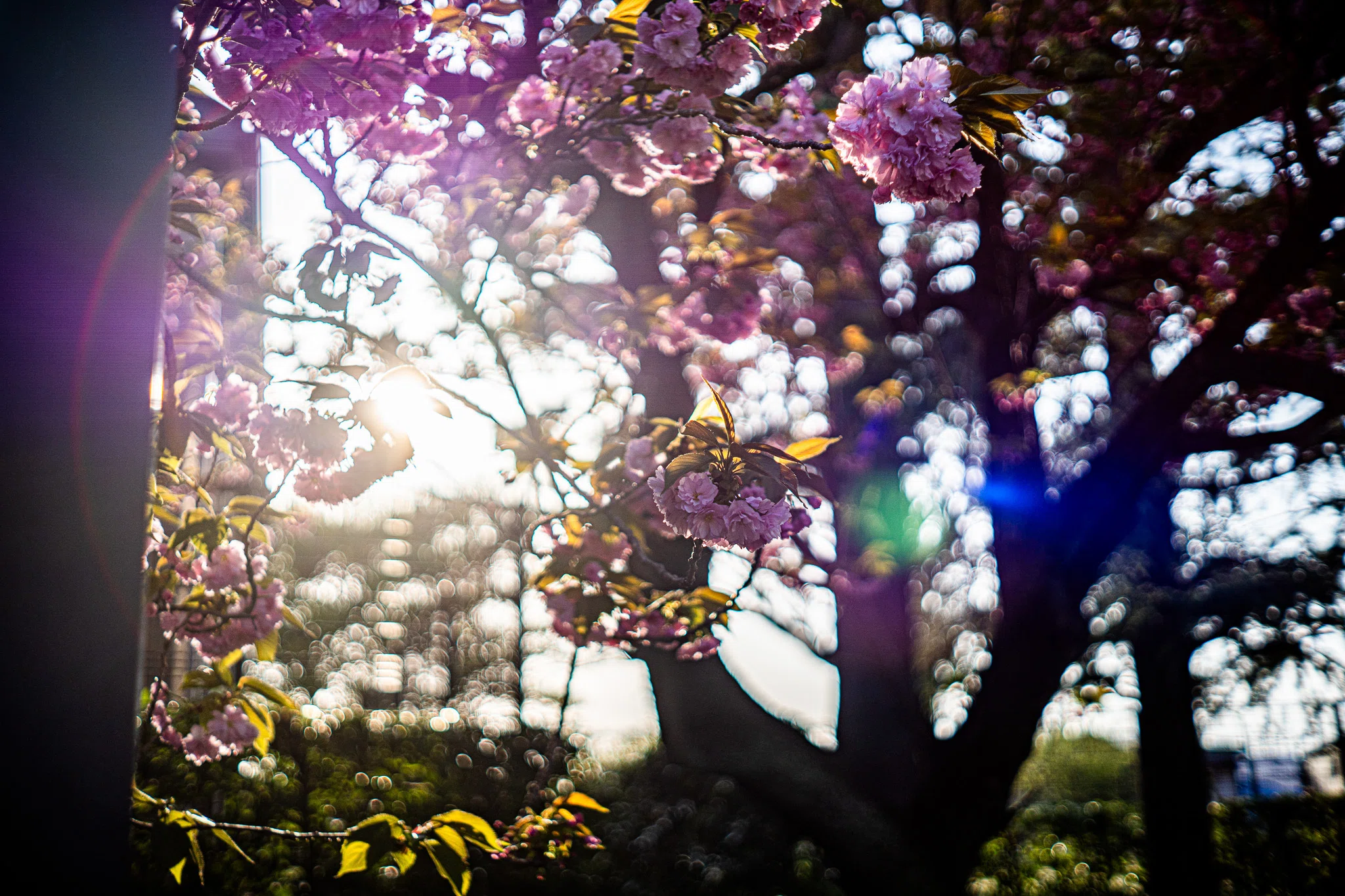 My 1st カメラをデジタルで再現した F.ZUIKO 40mm F1.7の改造レンズ