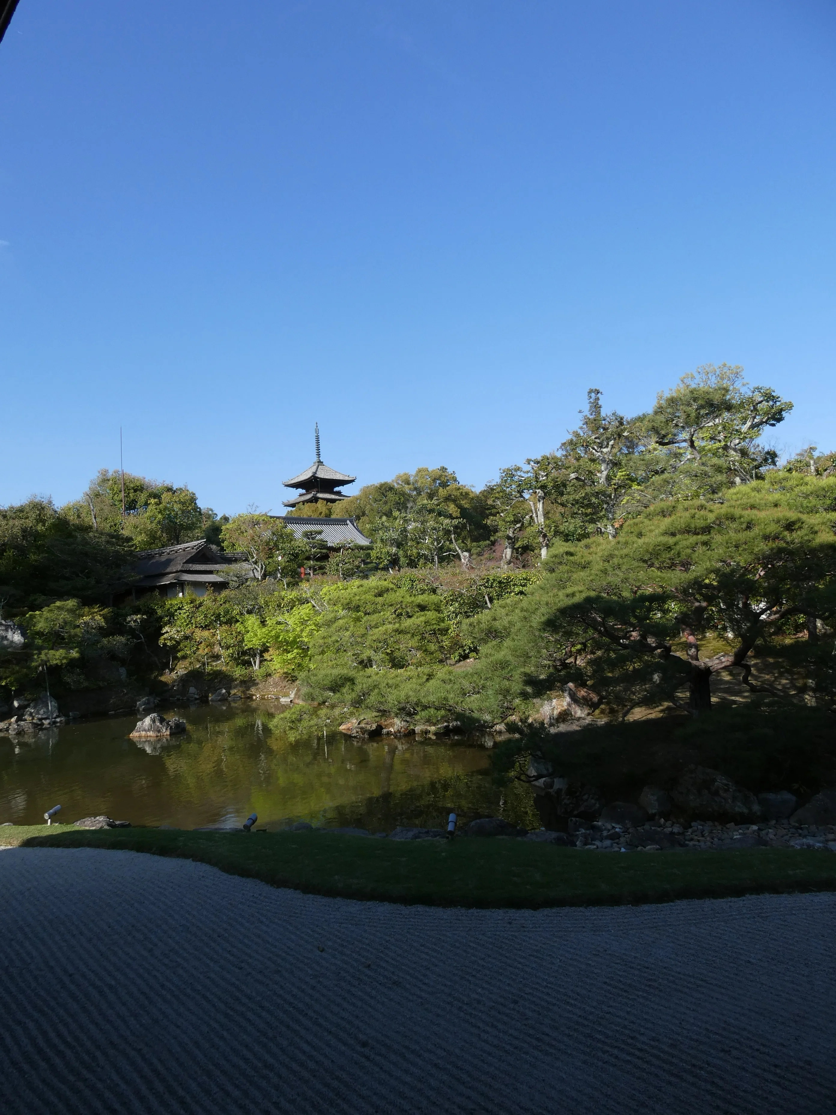 仁和寺の桜が良すぎた件について｜みめい