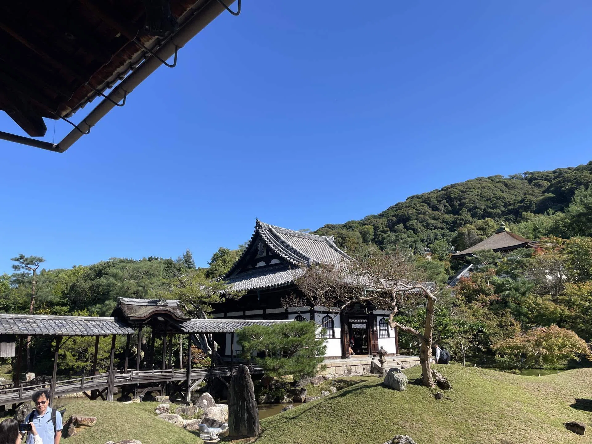 高台寺境内(庭園と小堀遠州)｜おきかぜ569