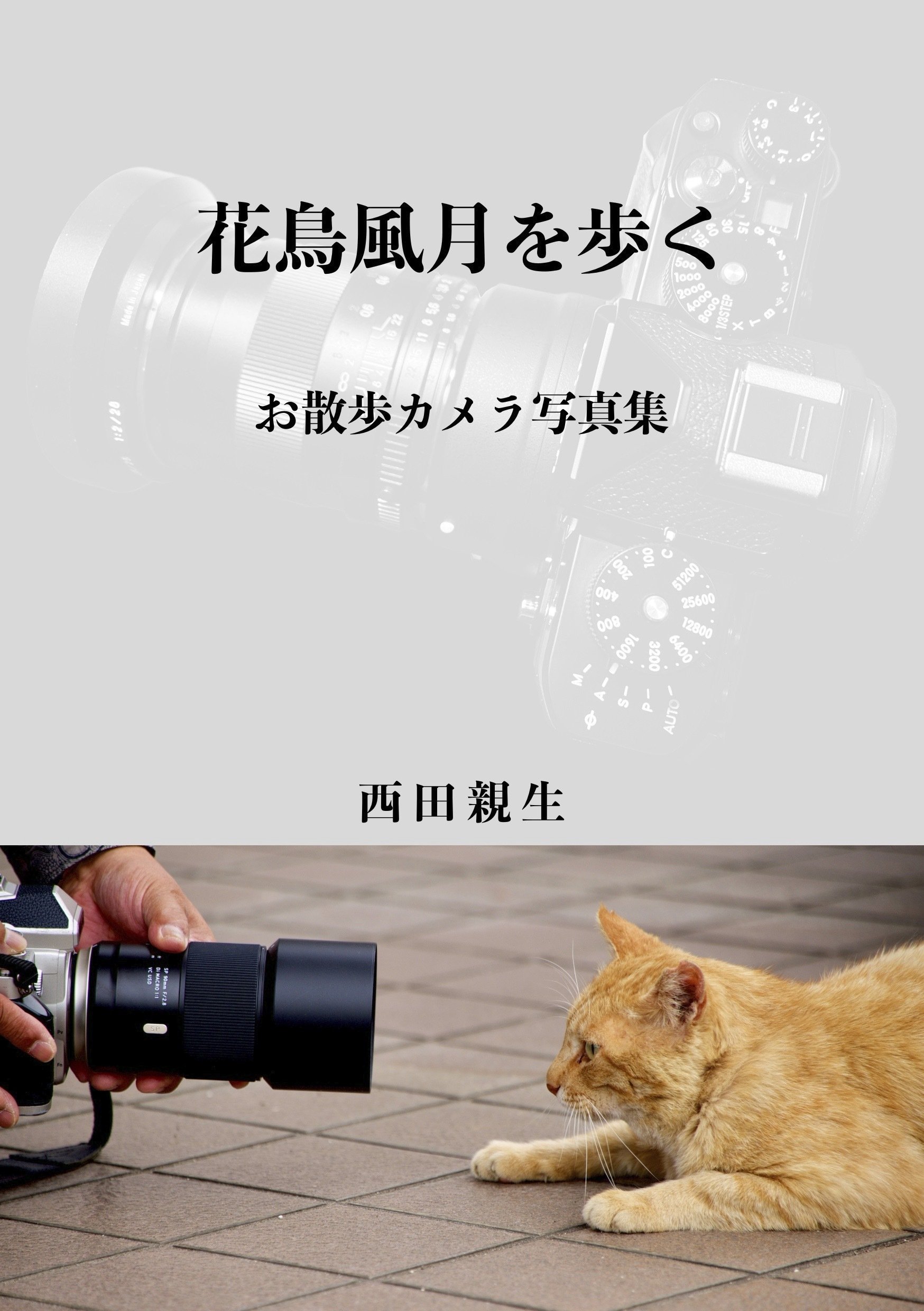 デジタルカメラ 花・鳥・月撮影 新刊「花鳥風月を歩く｜お散歩カメラ写真集」の登録完了｜西田親生
