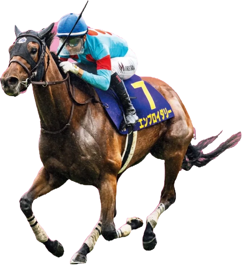桜花賞 2026 サイン探し＝ 前日の阪神牝馬Sの結果が教えていた｜宮兼